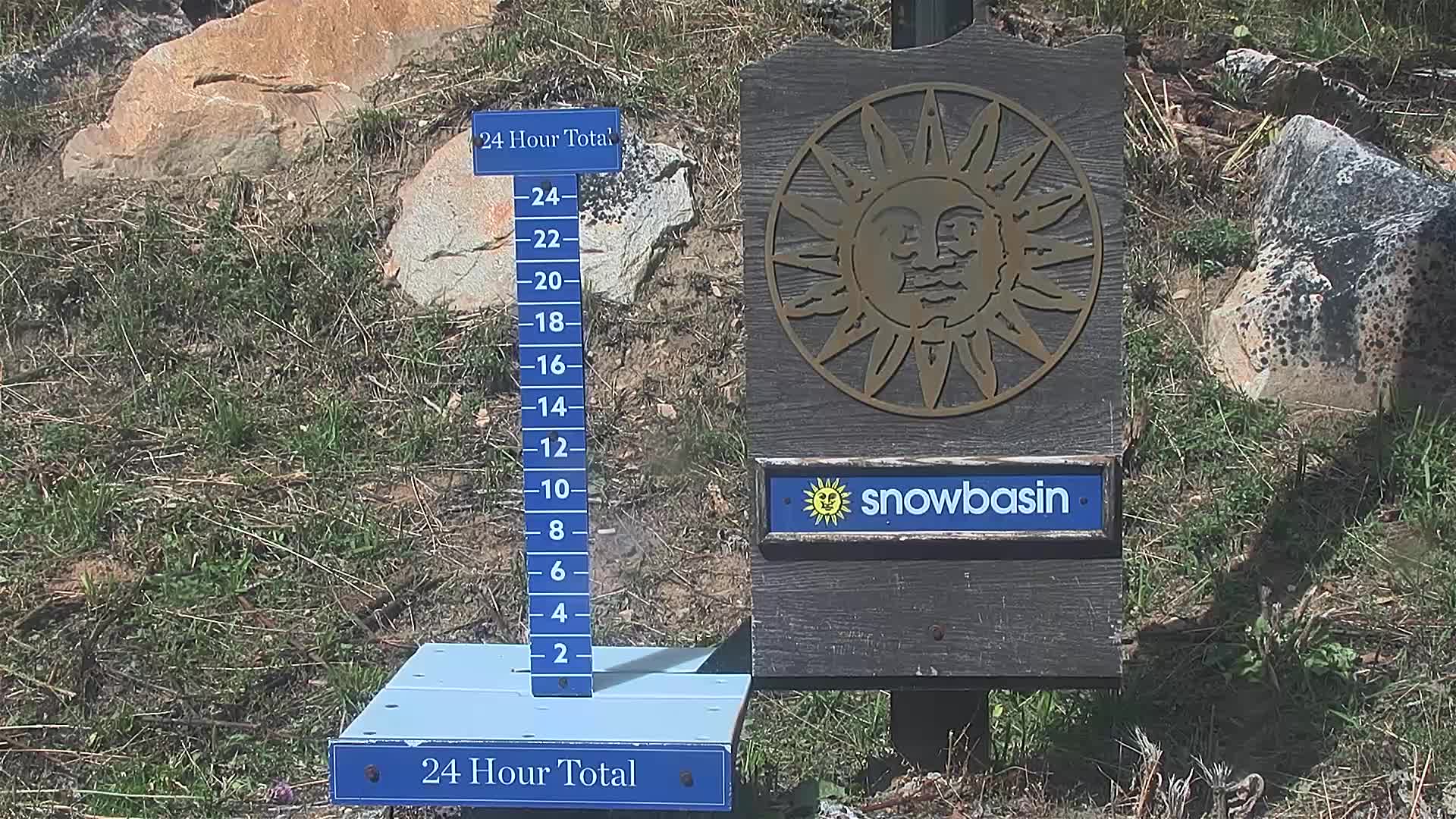 Snowstake Cam