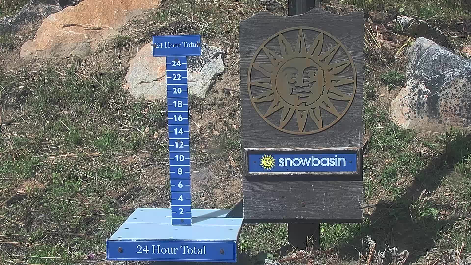 Snowstake Cam