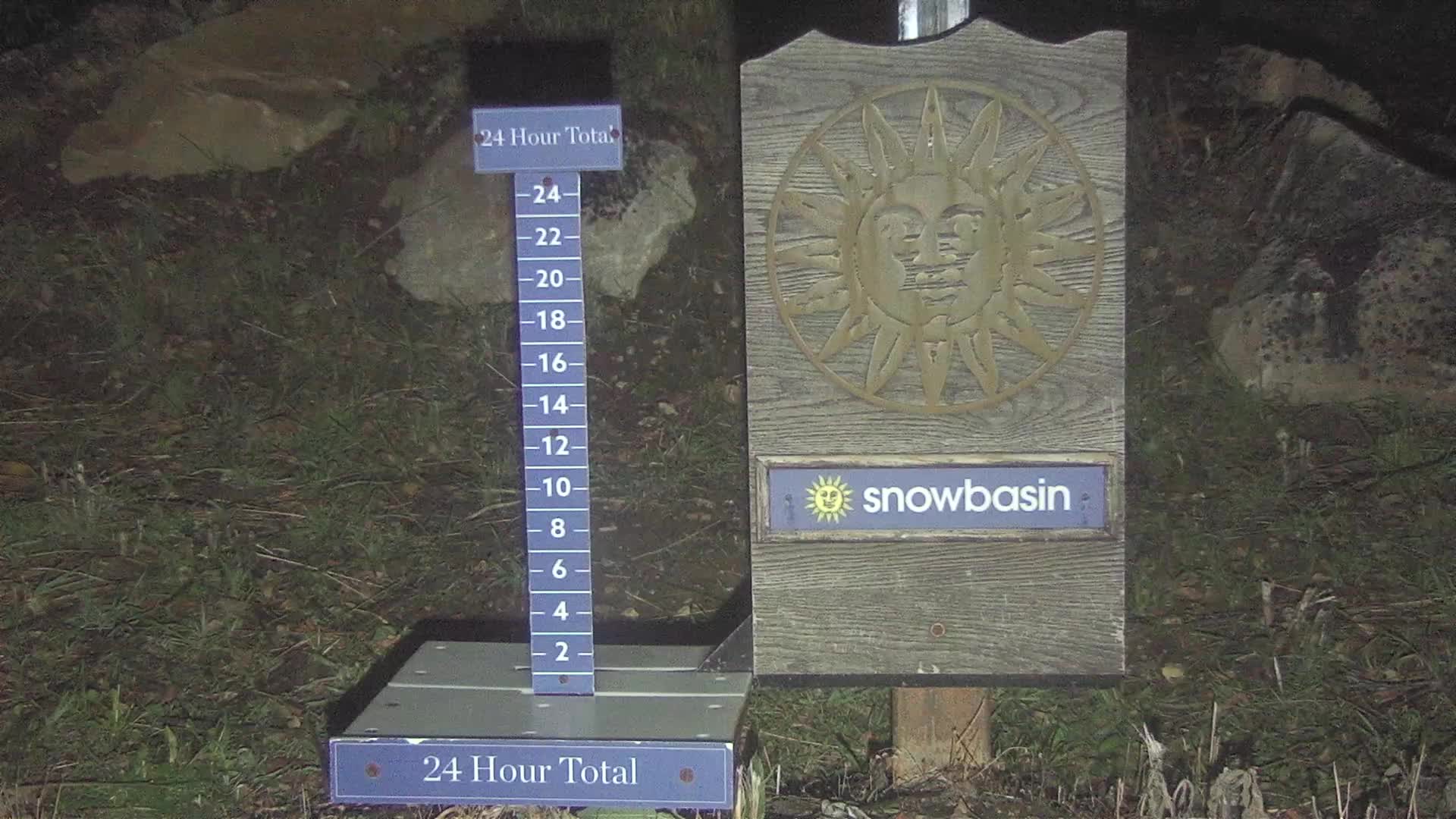 Snowstake Cam