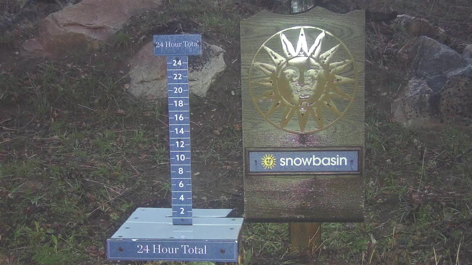 Snowstake Cam