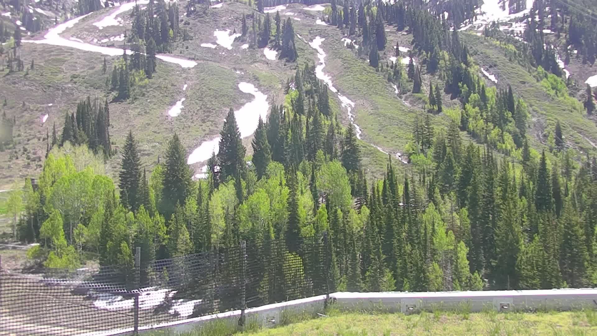Peruvian Gulch
