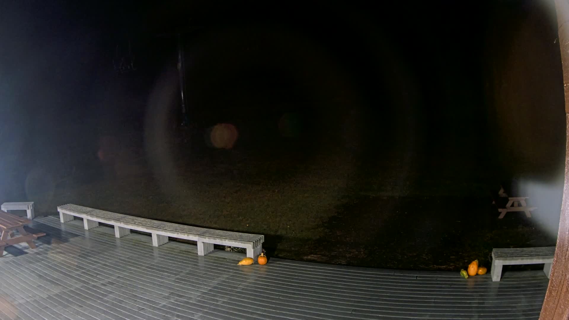 Lodge Cam