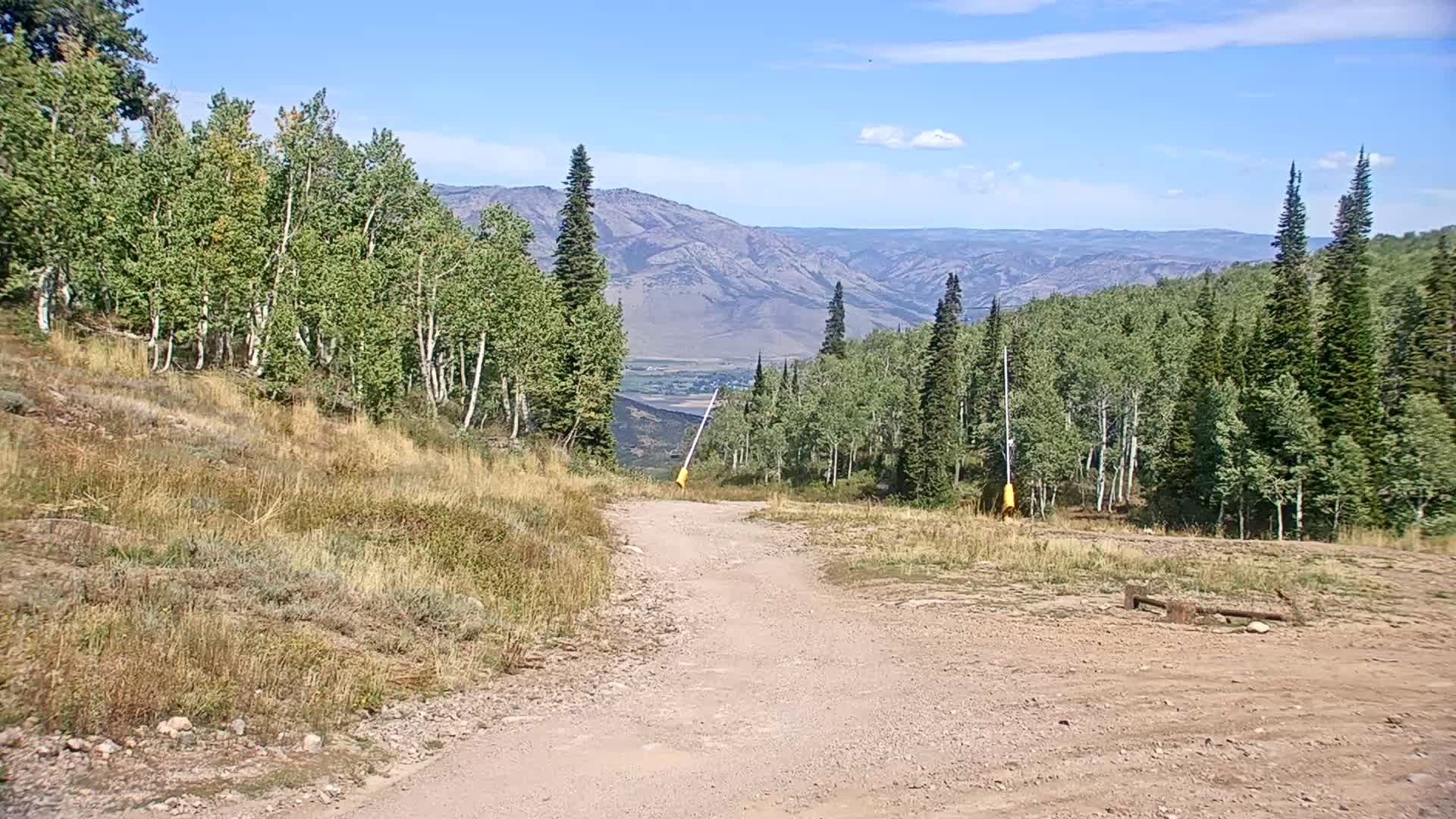 Middle Bowl Base