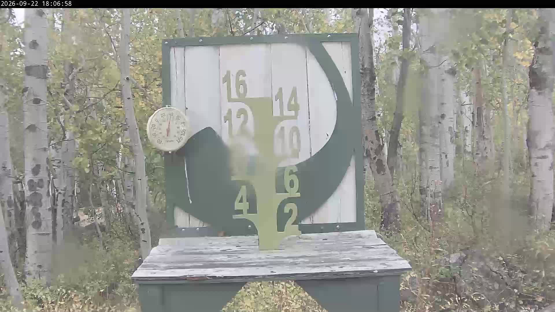 Snow Stake Livestream