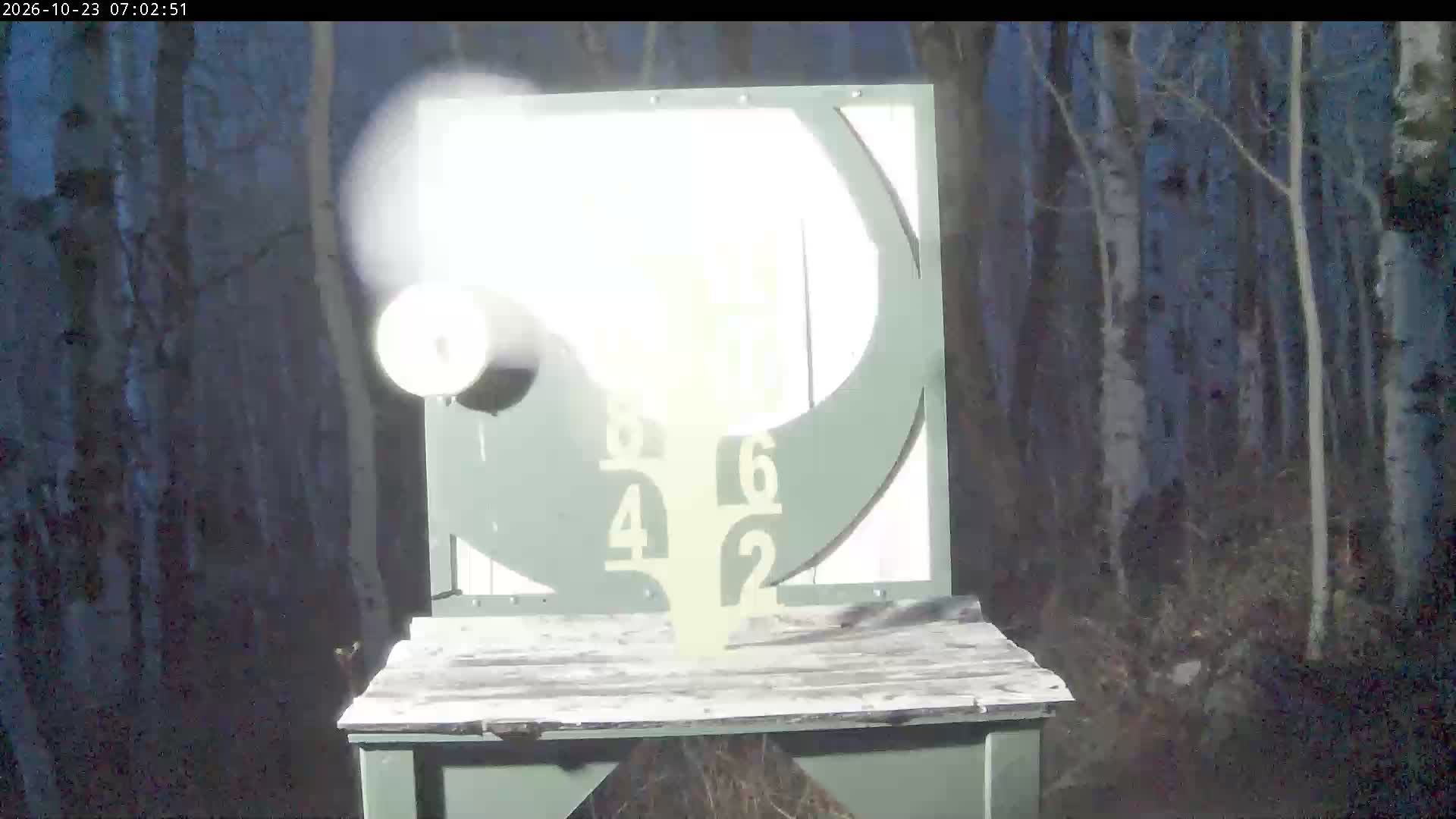 Snow Stake Livestream