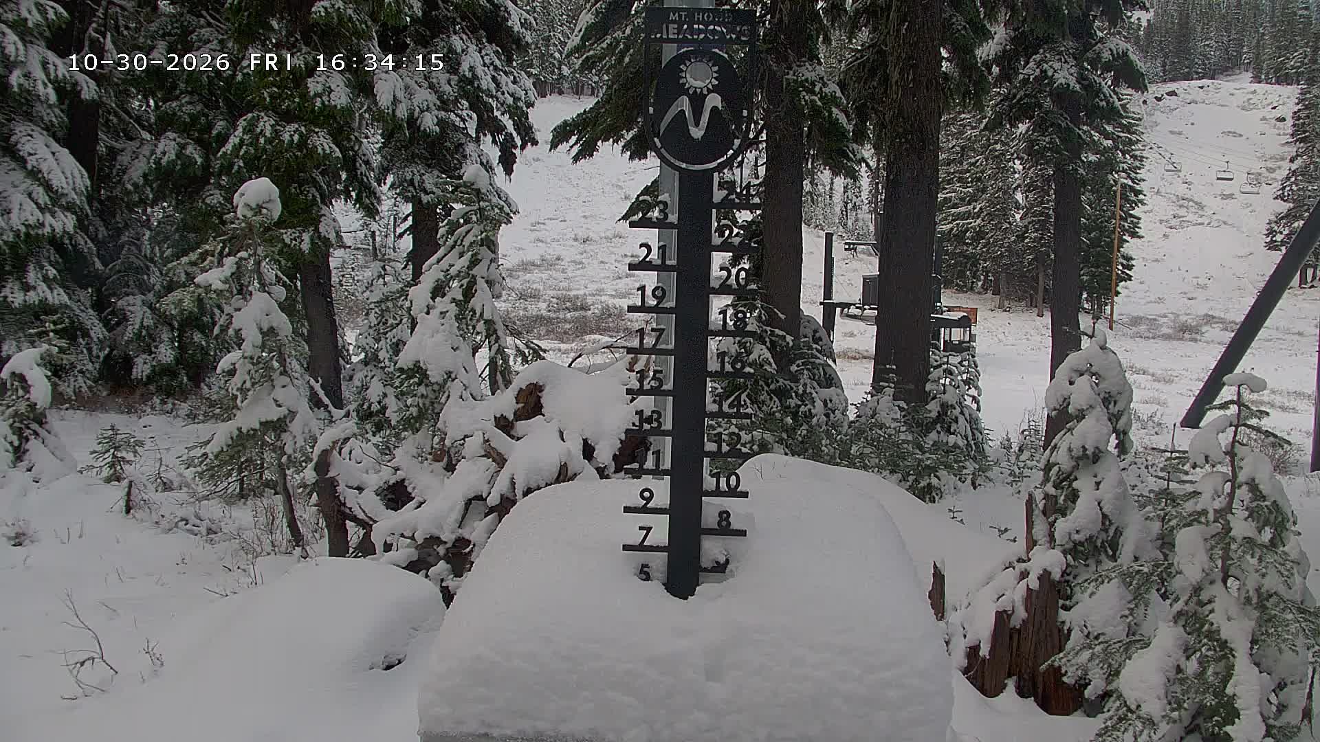Snow Stake