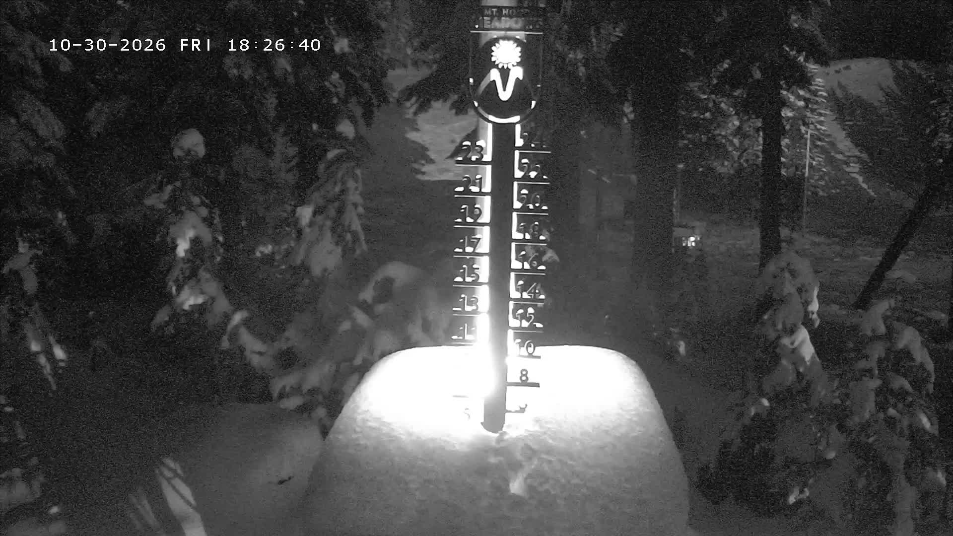 Snow Stake