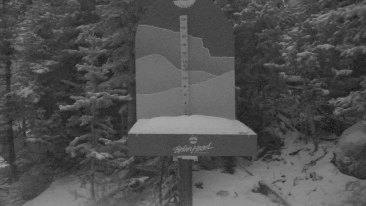 Snow Stake