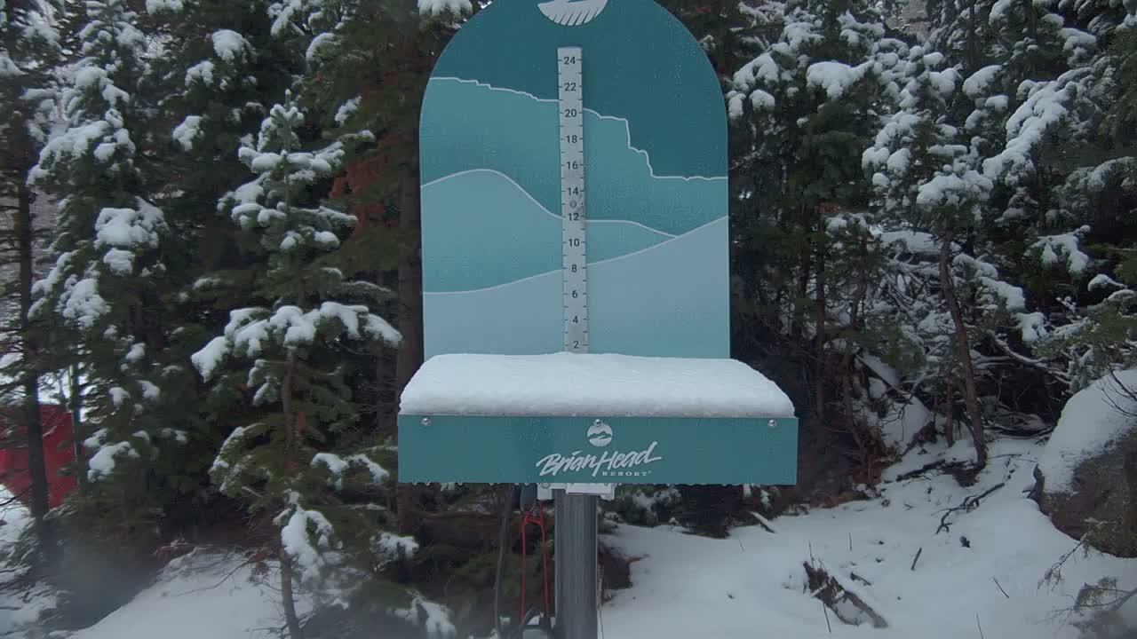 Snow Stake