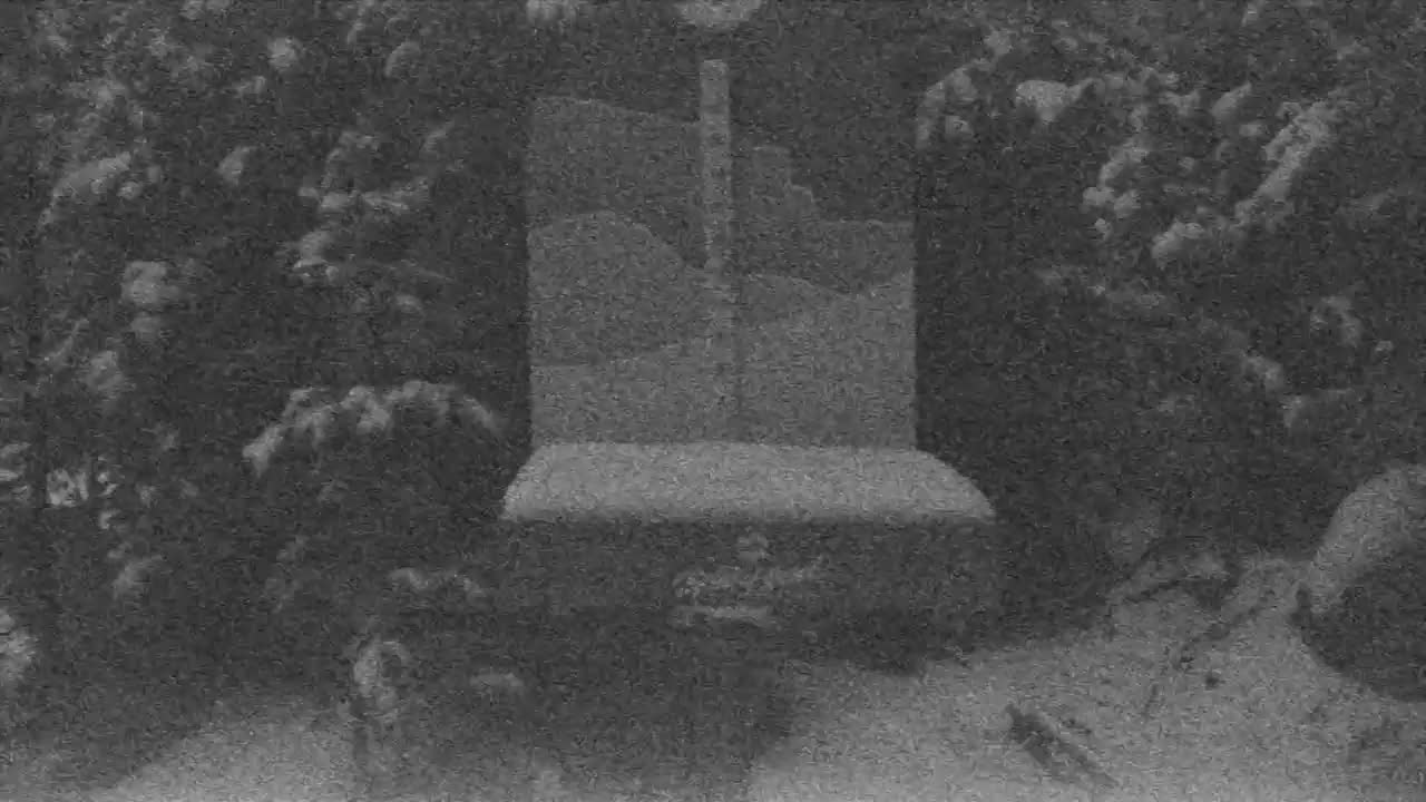 Snow Stake