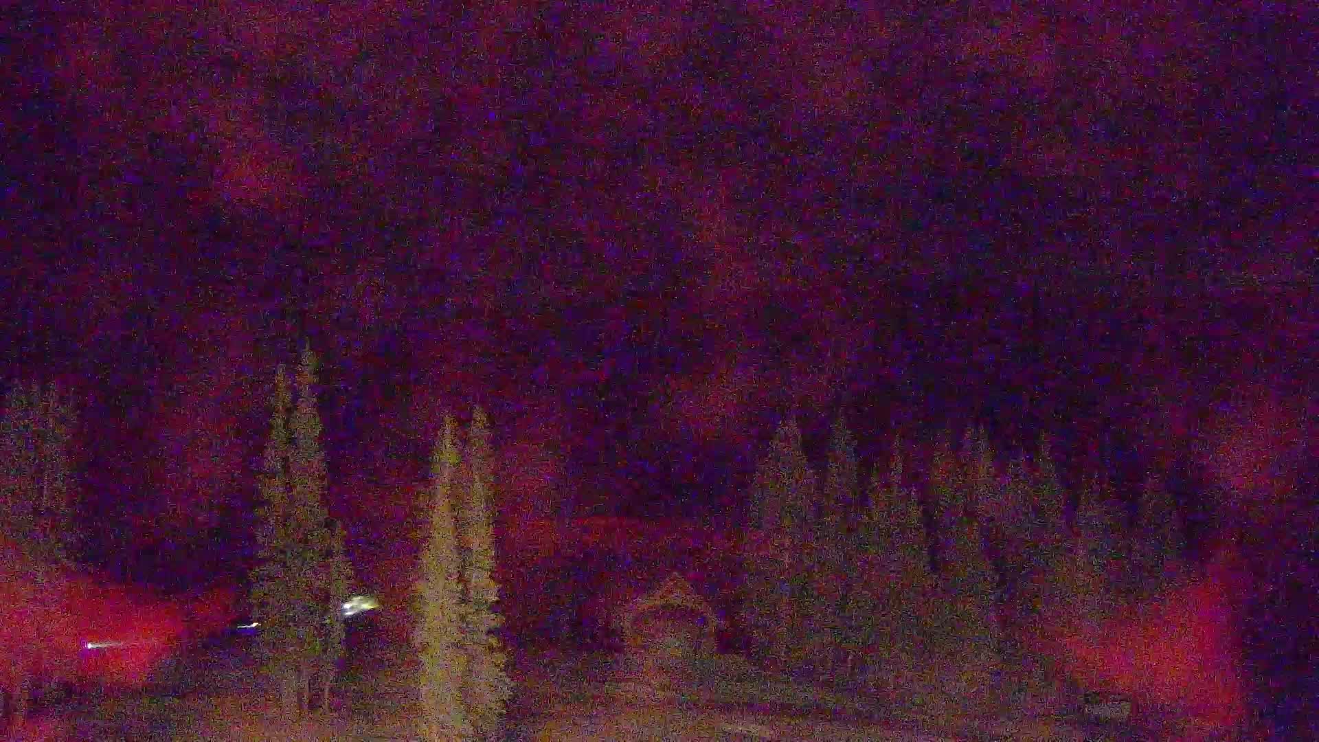 Aerie Cam