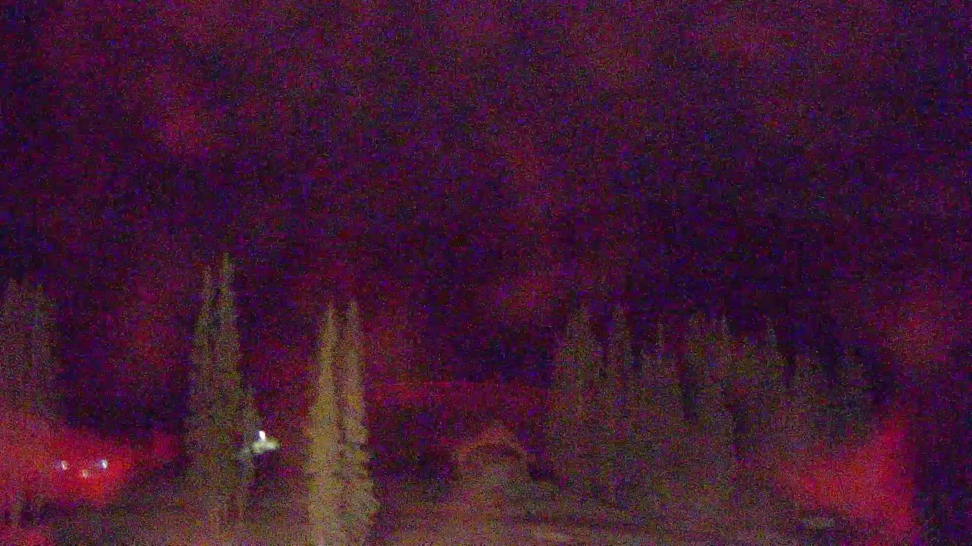 Aerie Cam