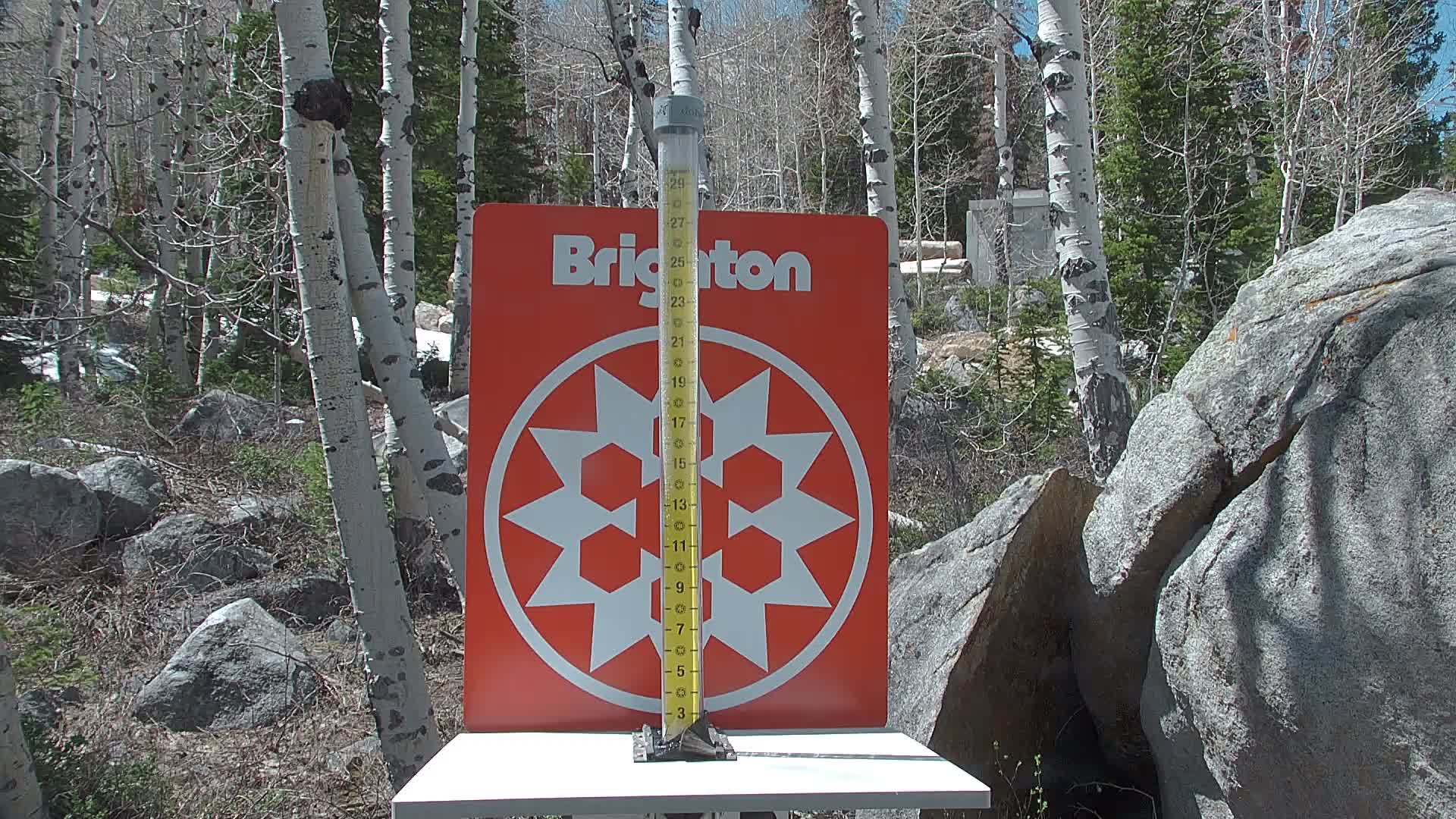 Brighton Resort snow stake cam