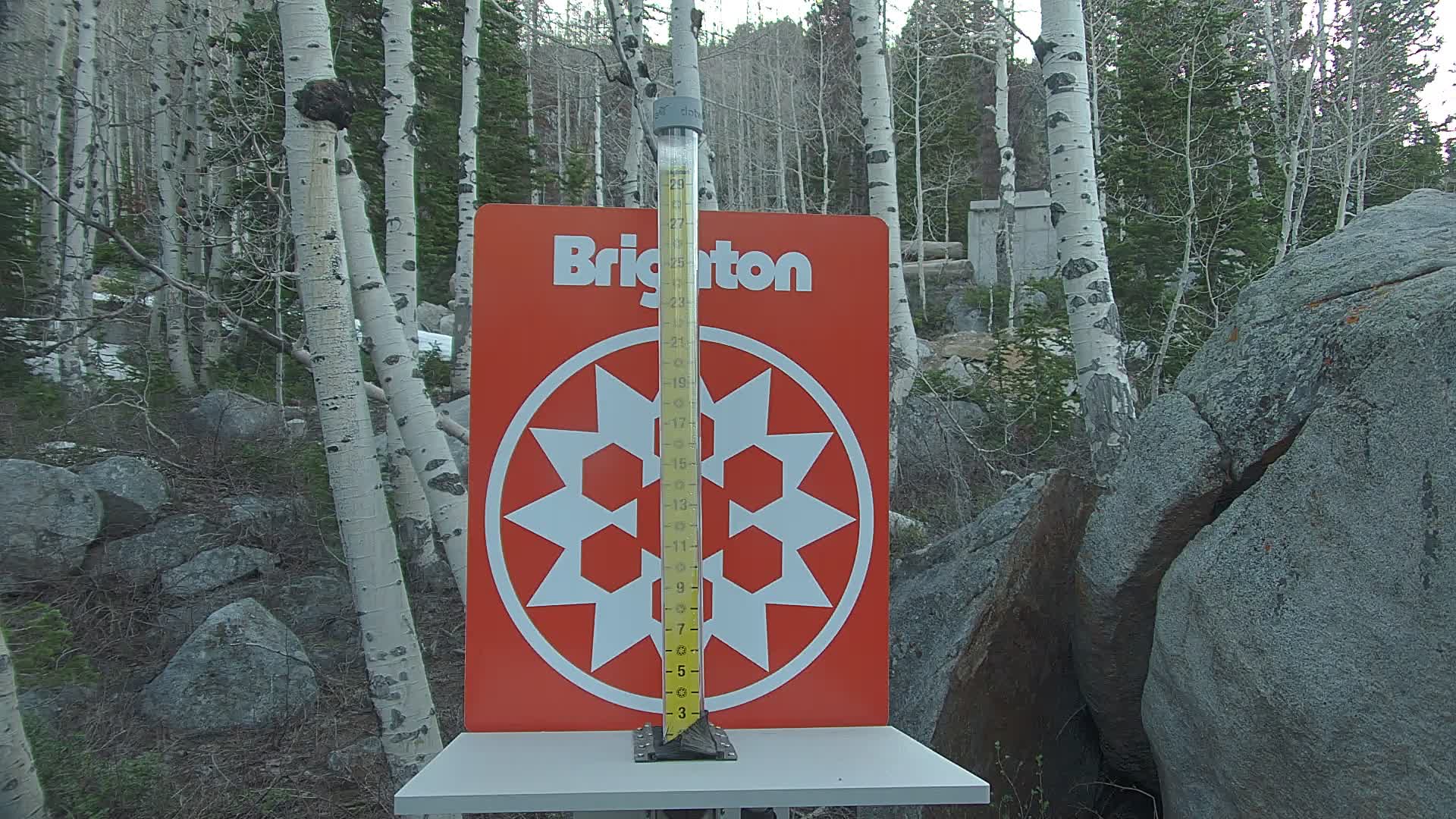 Brighton Resort snow stake cam