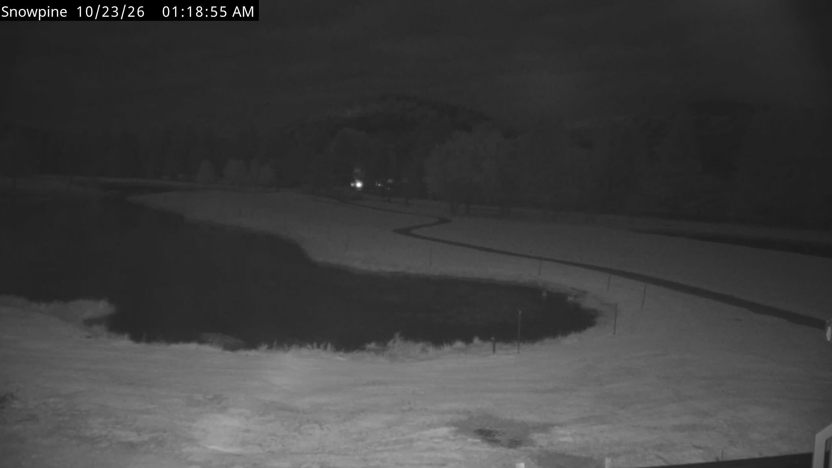 Snowpine Camera