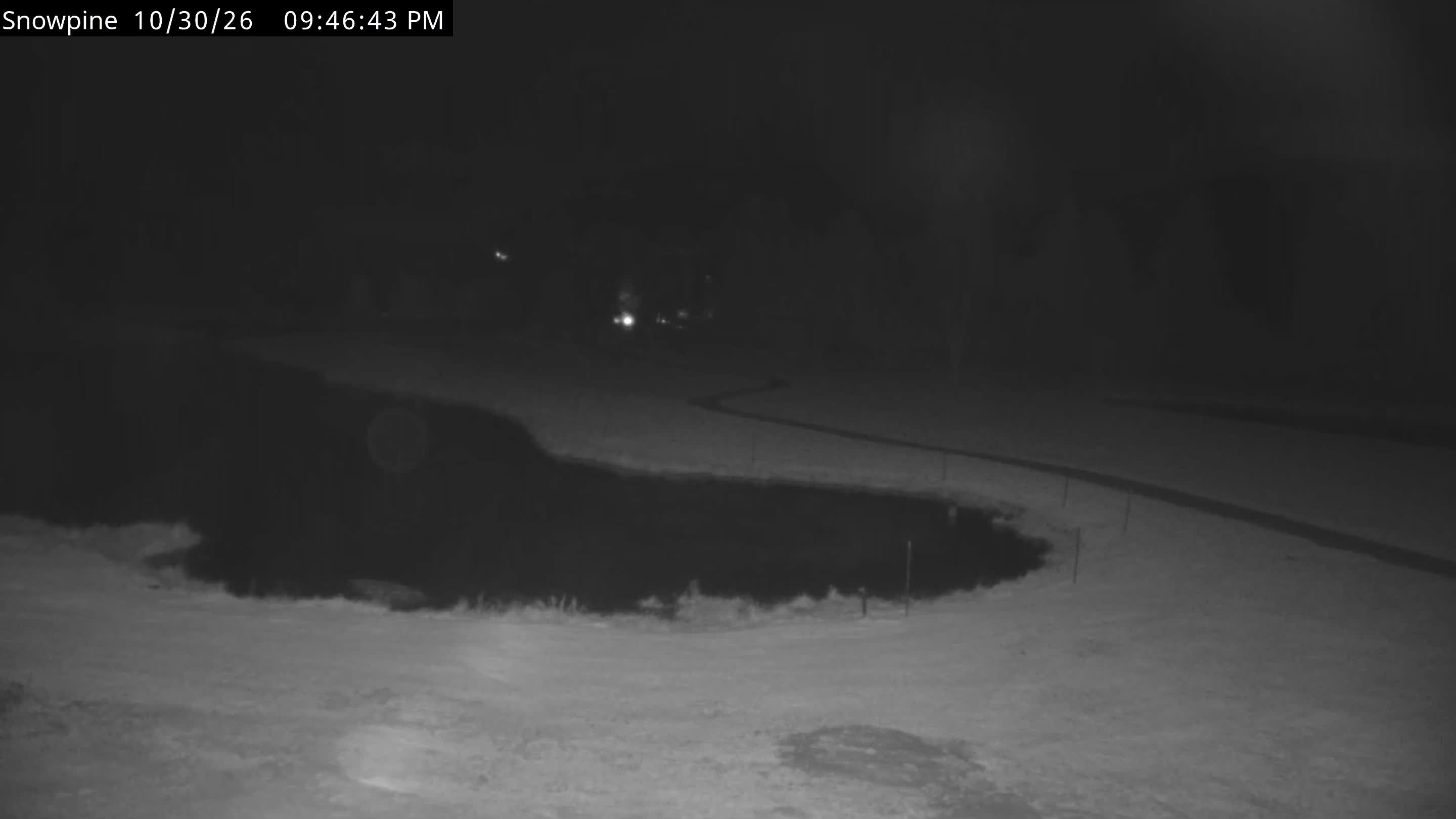 Snowpine Camera