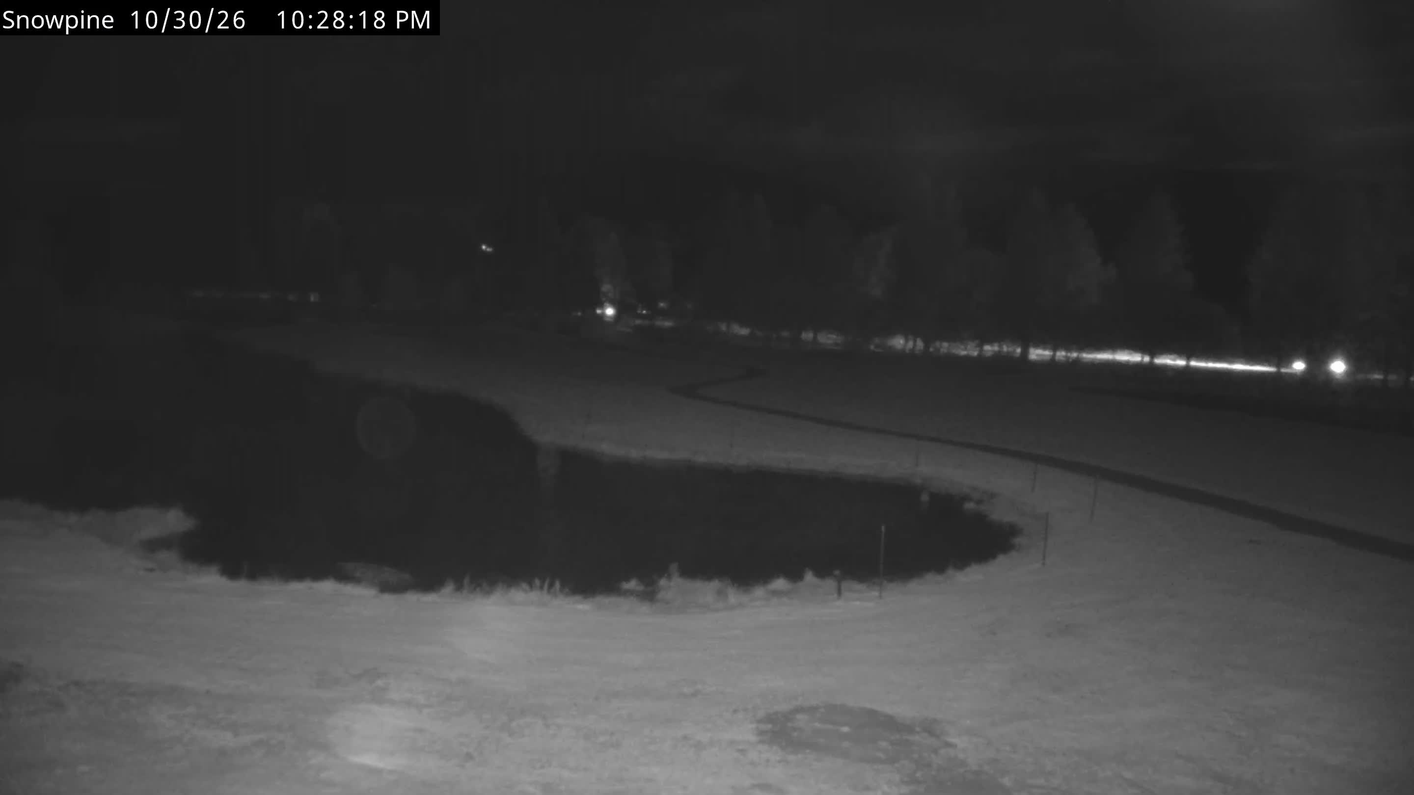 Snowpine Camera