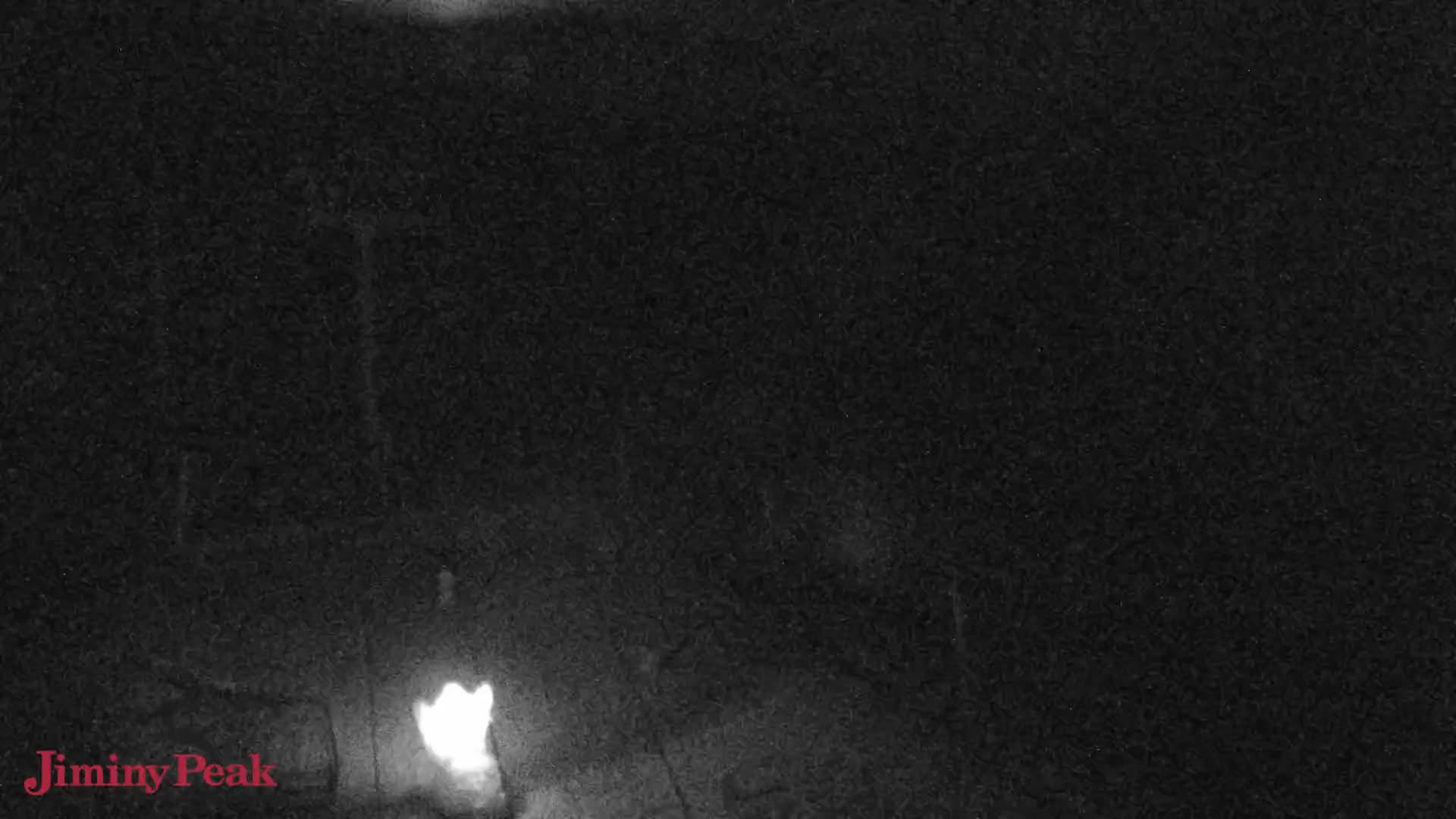 Express Cam 2