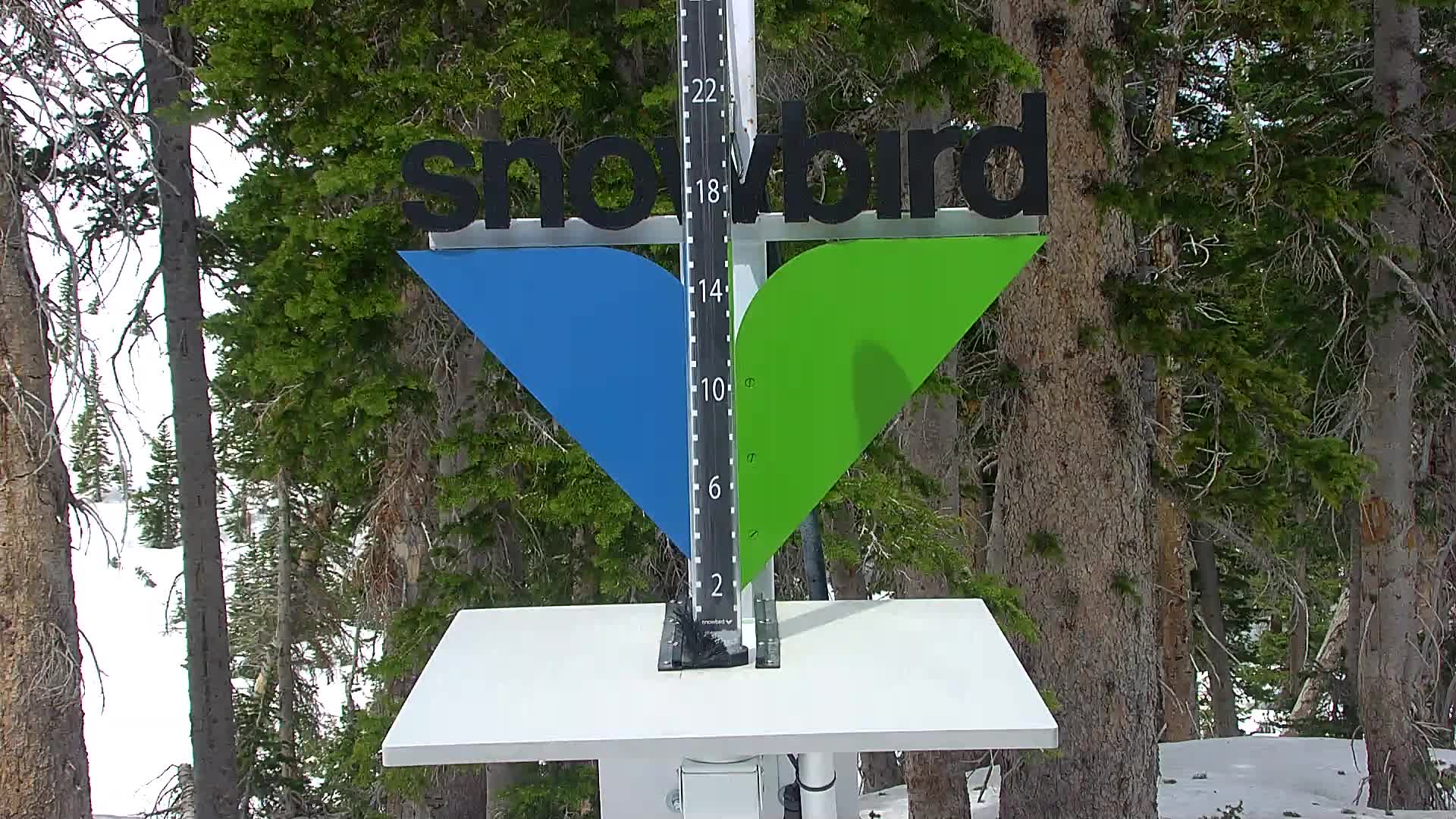 Snowbird snow stake cam