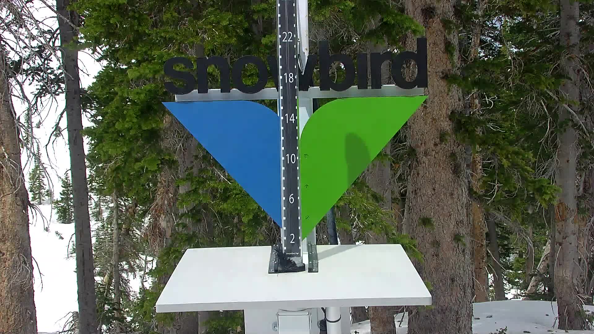 Snowbird snow stake cam