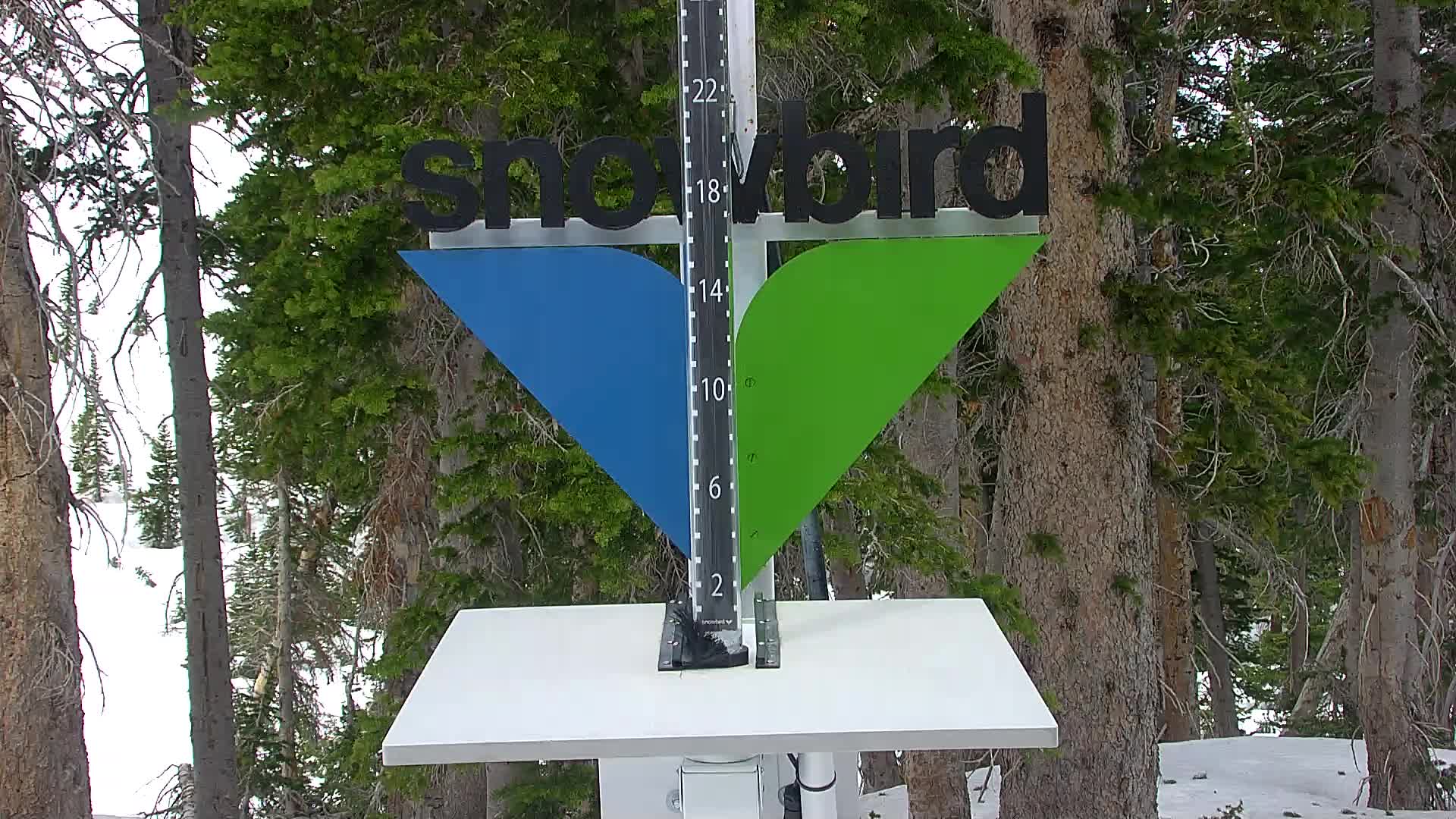 Snowbird snow stake cam