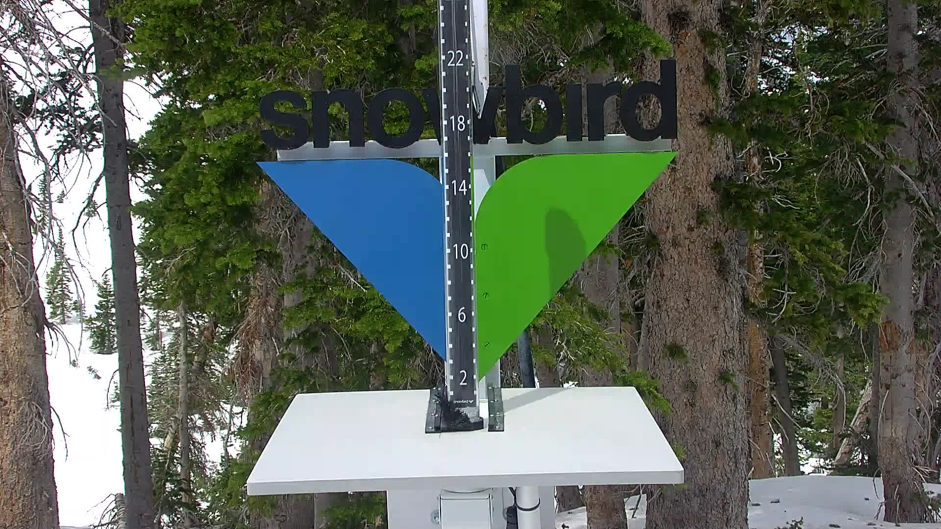 Snowbird snow stake cam