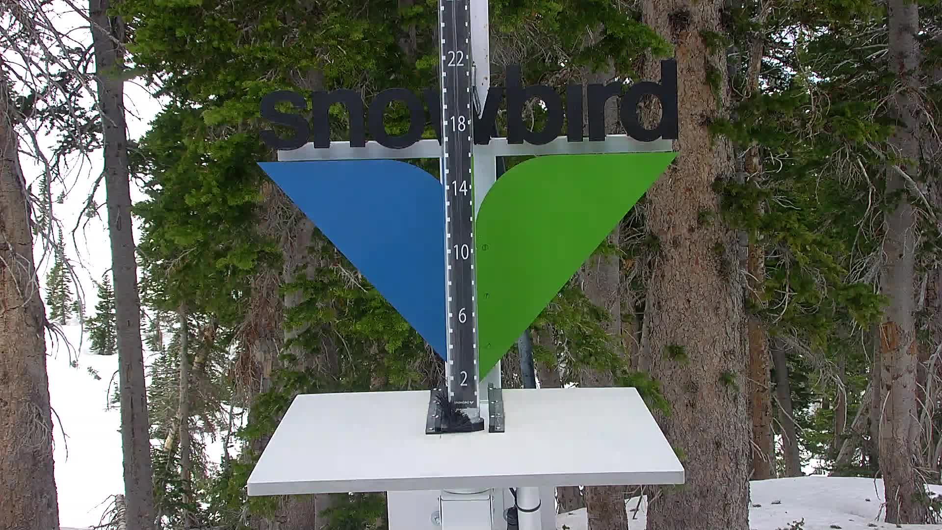 Snowbird snow stake cam