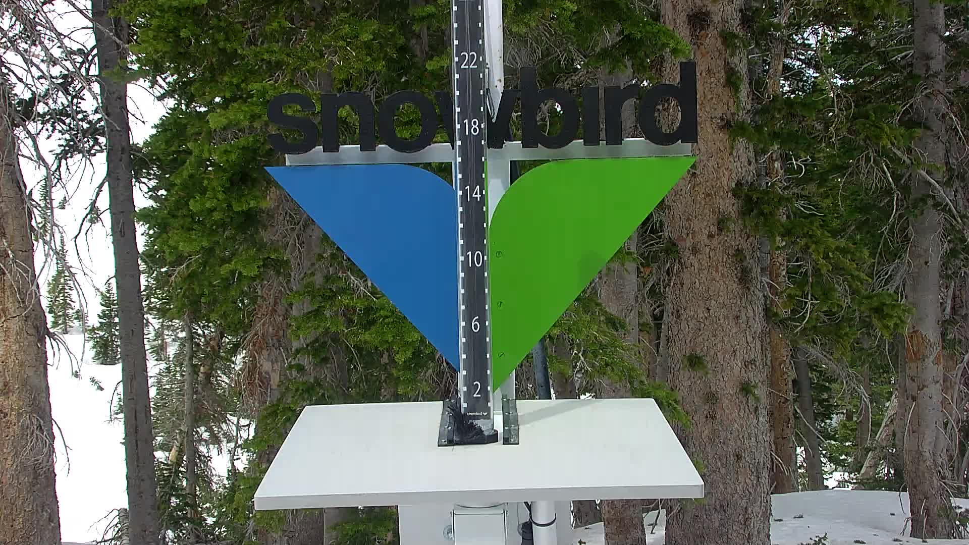 Snowbird snow stake cam