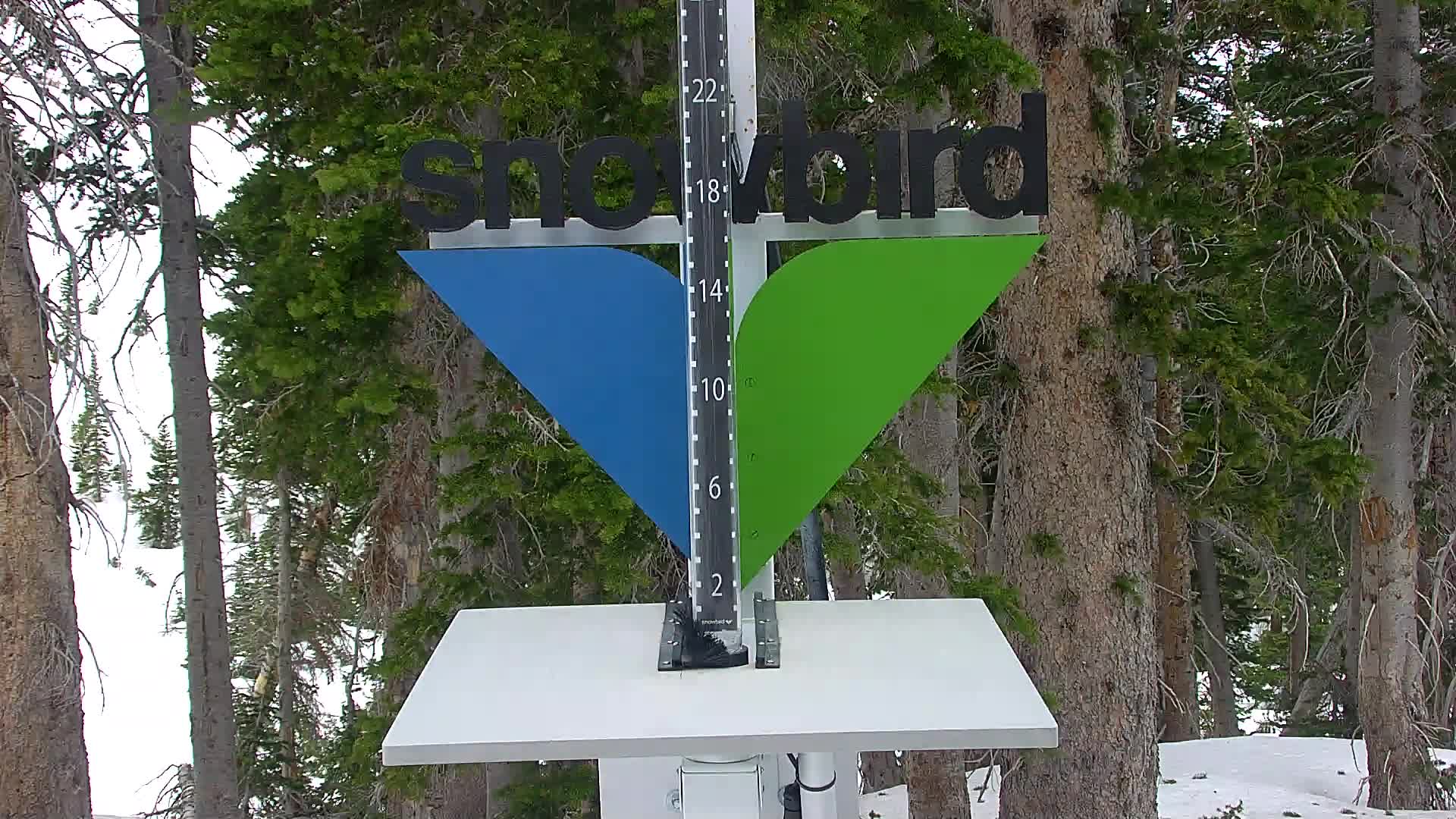 Snowbird snow stake cam