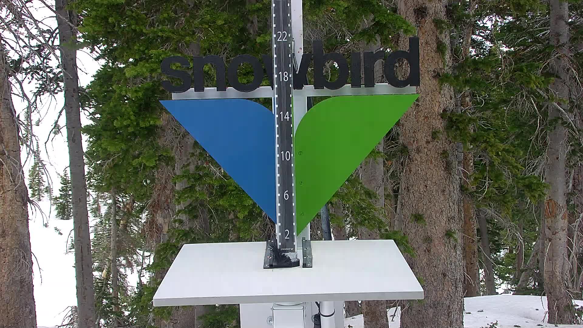 Snowbird snow stake cam