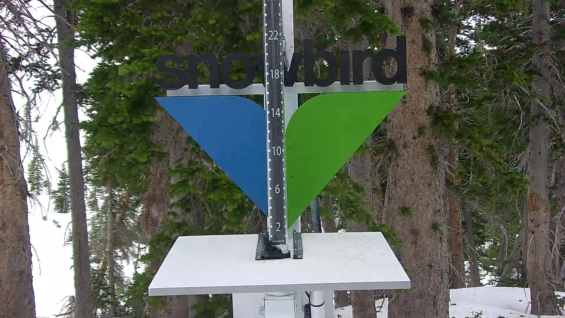 Snowbird snow stake cam