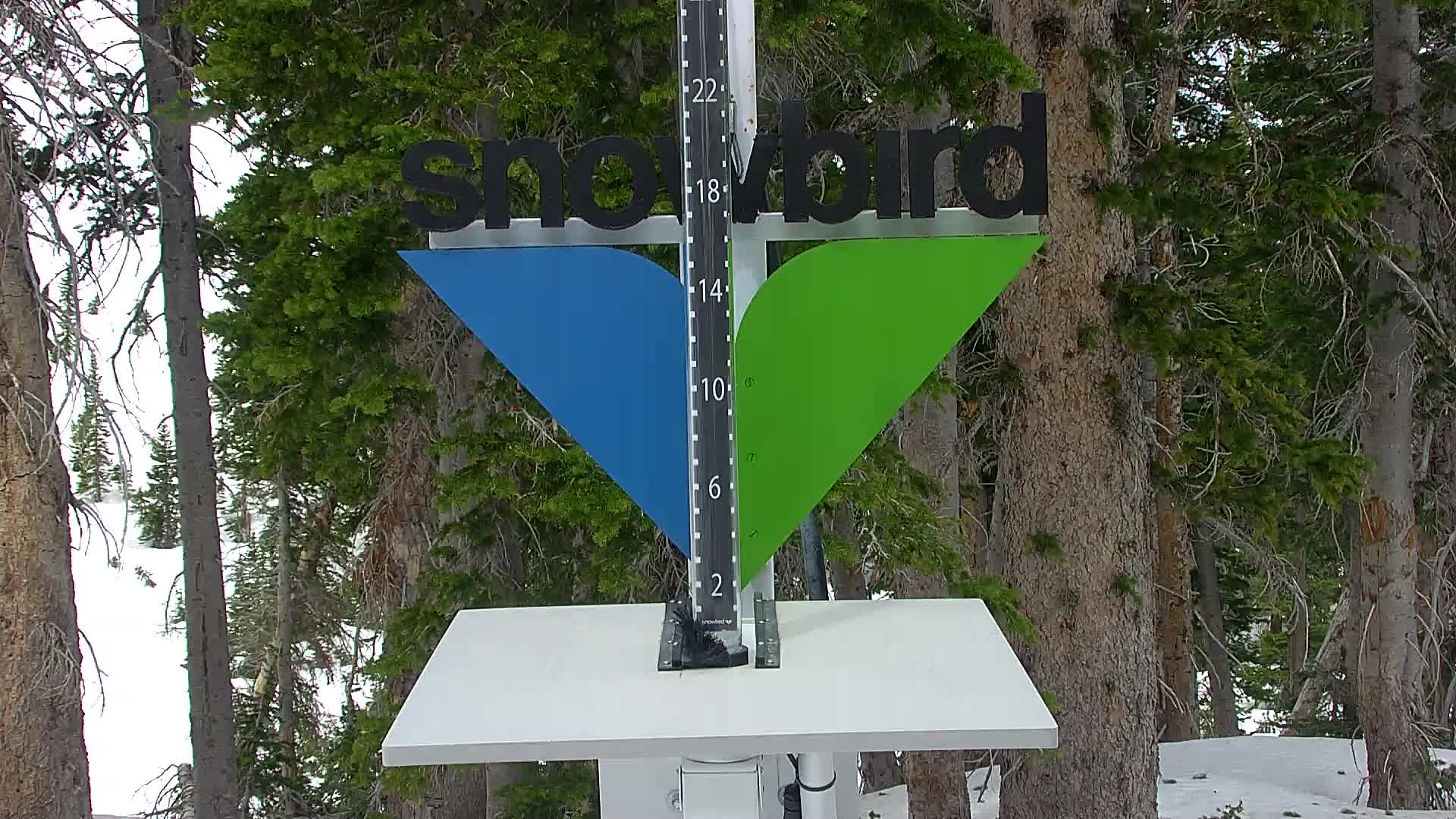 Snowbird snow stake cam
