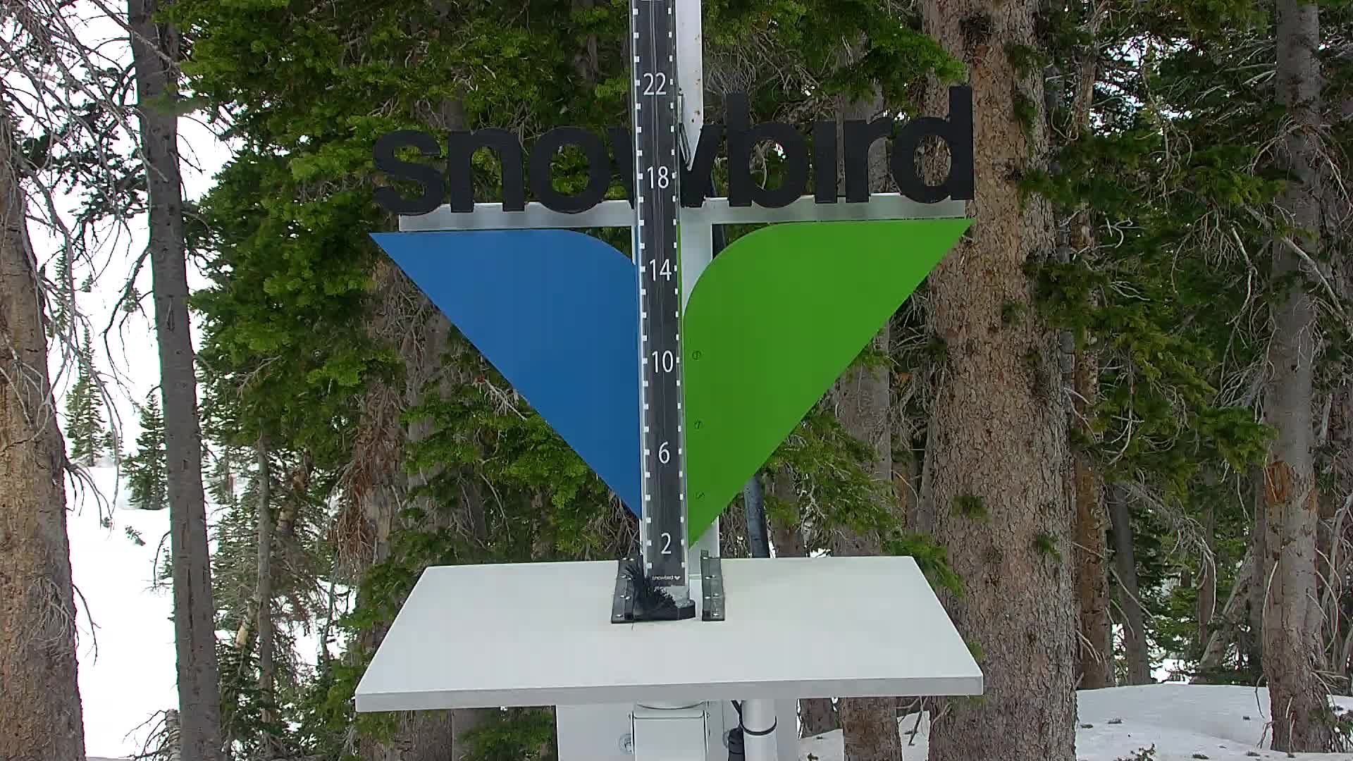 Snowbird snow stake cam