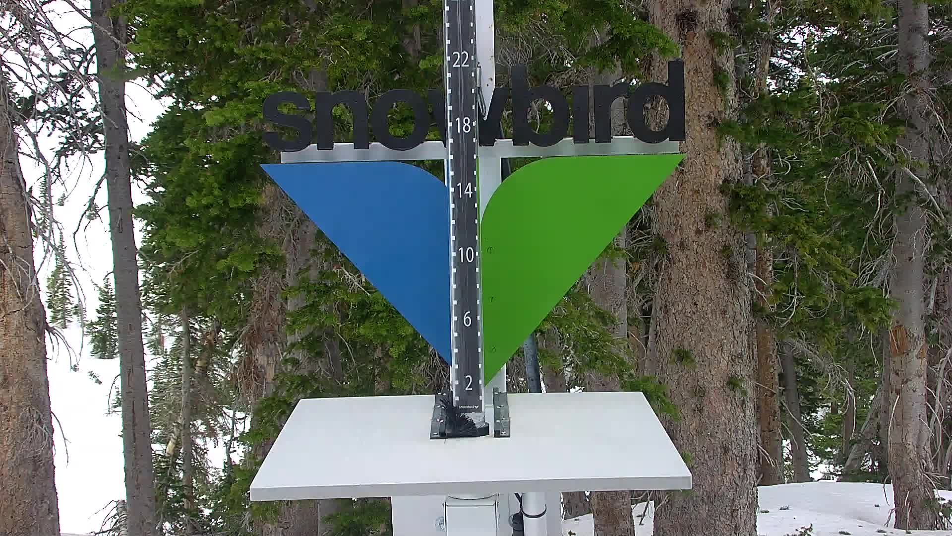 Snowbird snow stake cam