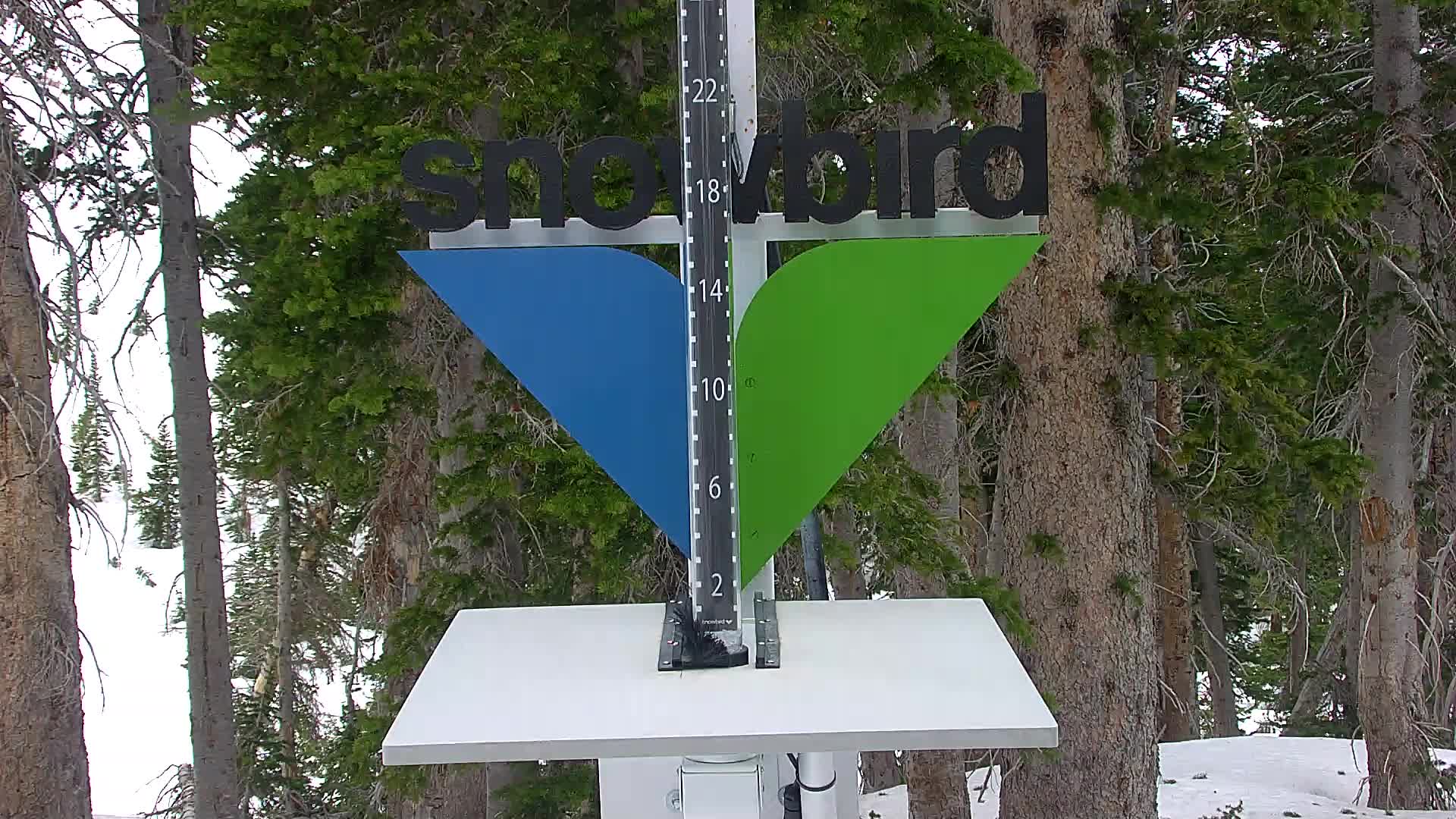 Snowbird snow stake cam