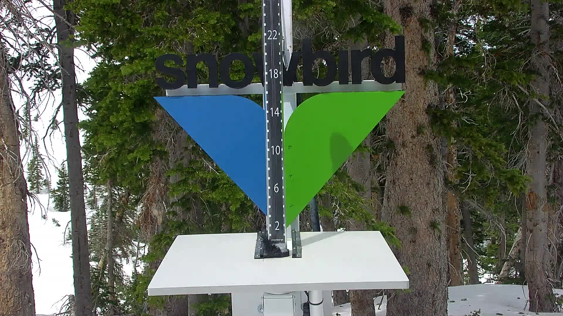 Snowbird snow stake cam