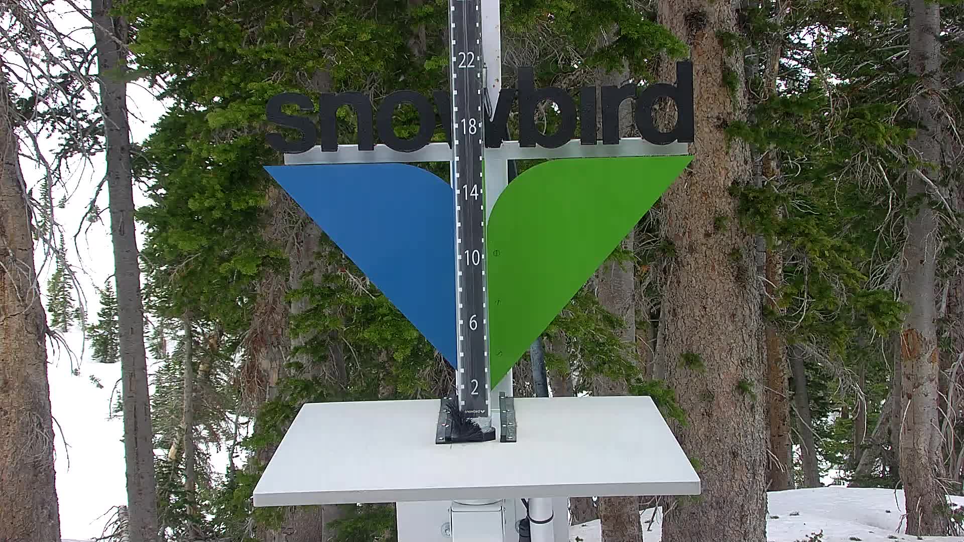 Snowbird snow stake cam