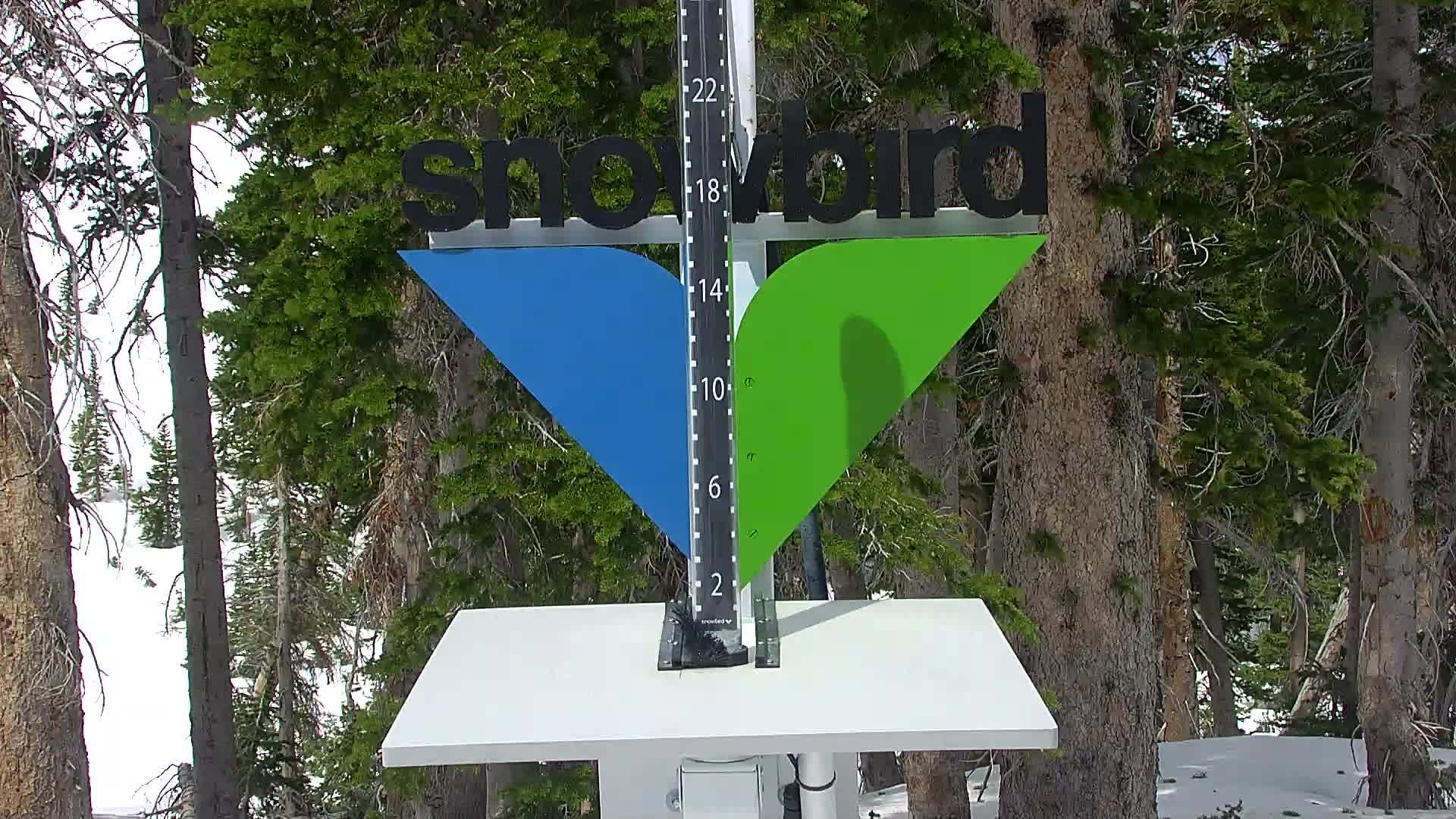 Snowbird snow stake cam