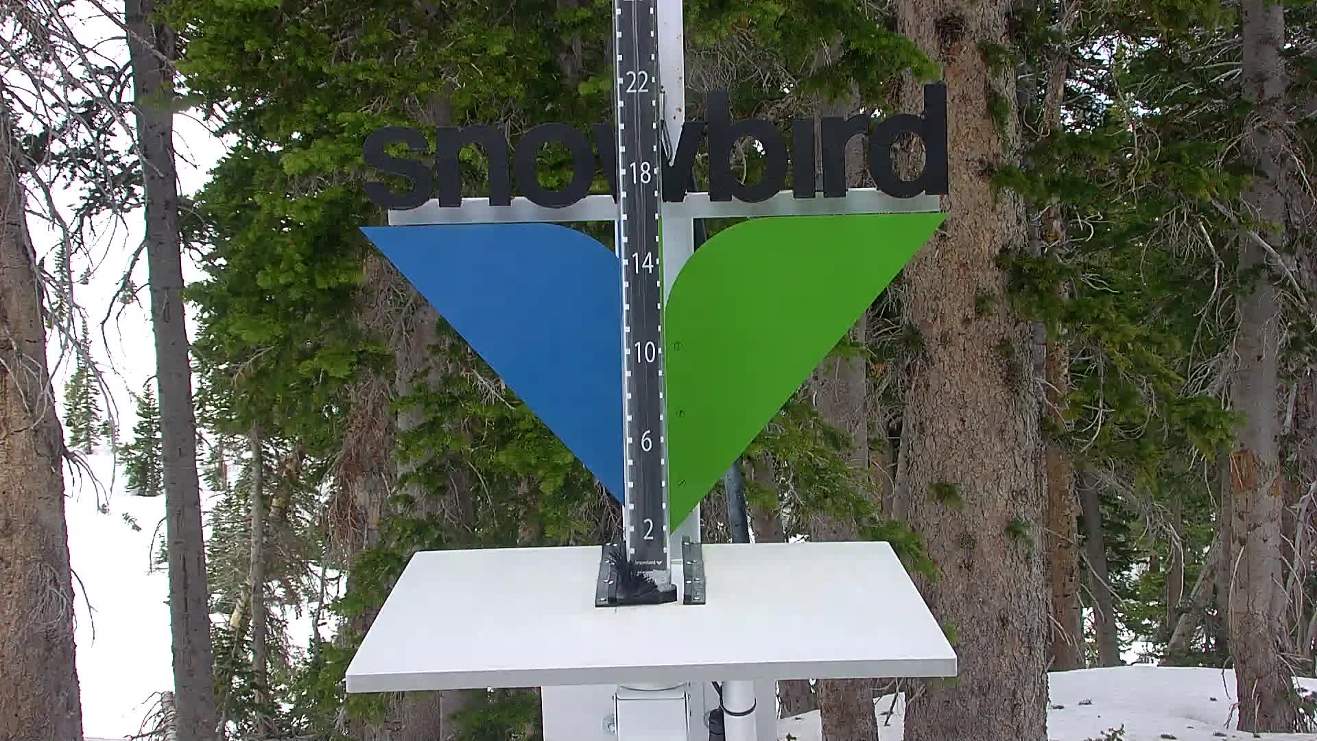 Snowbird snow stake cam