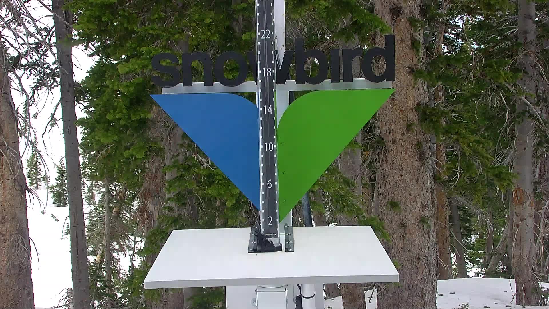 Snowbird snow stake cam