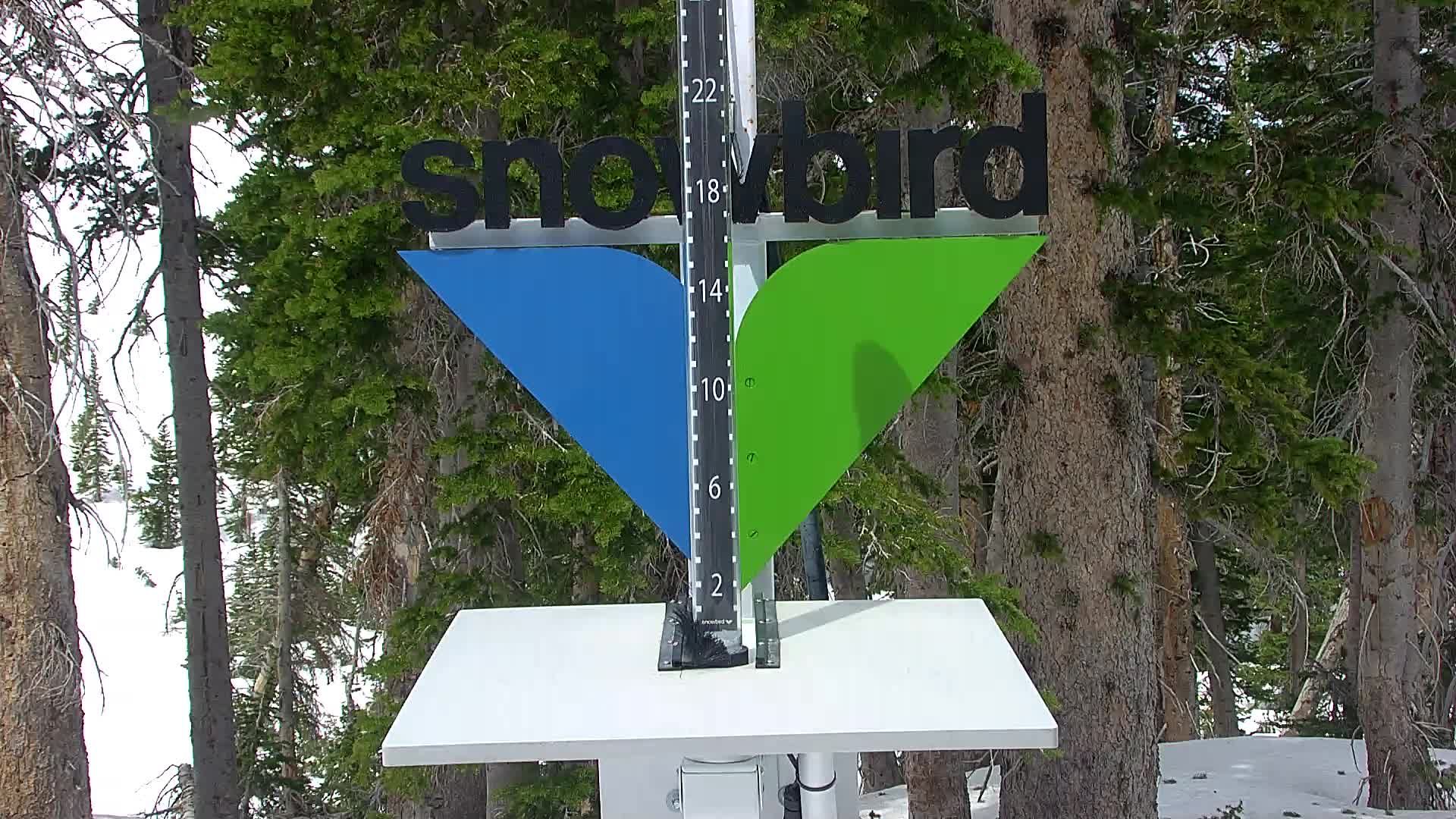 Snowbird snow stake cam