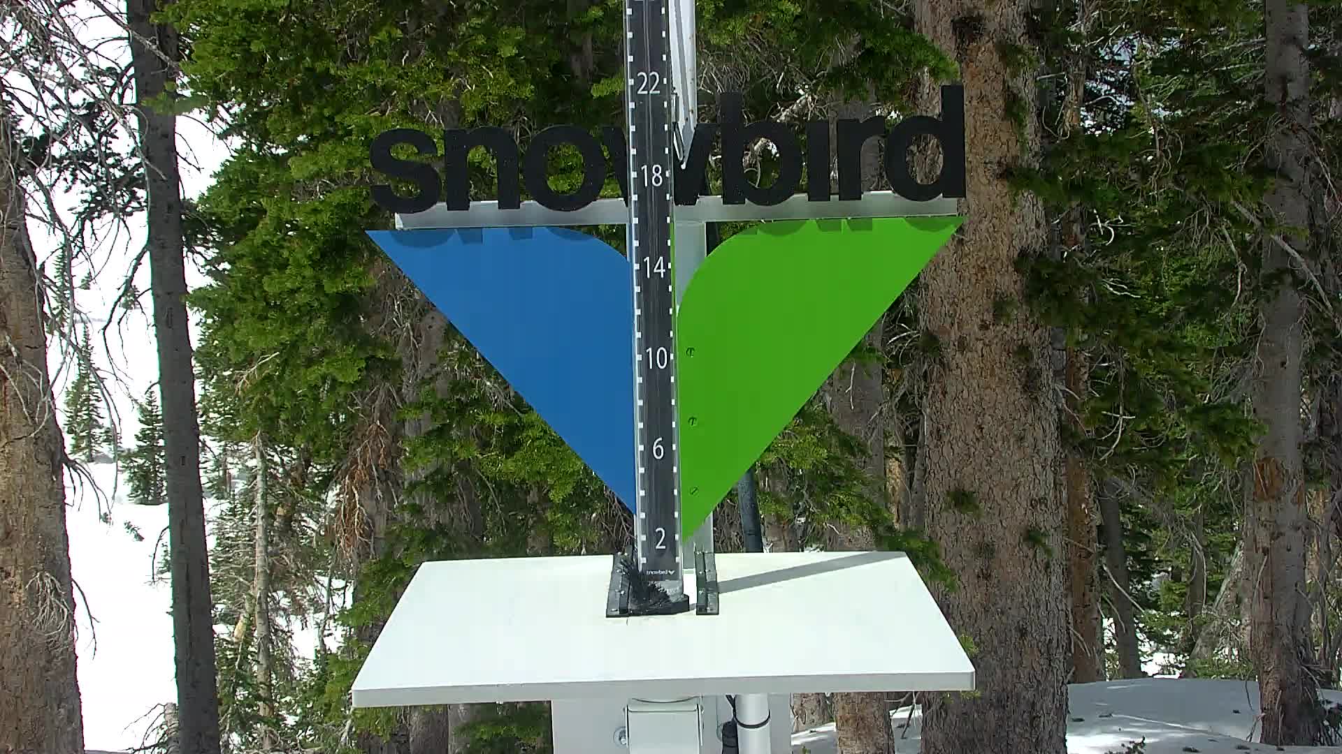 Snowbird snow stake cam