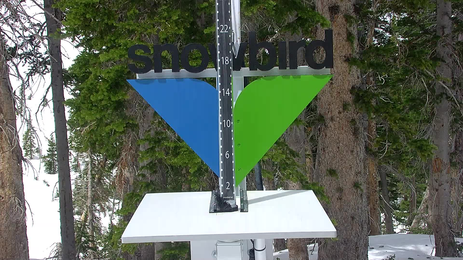 Snowbird snow stake cam