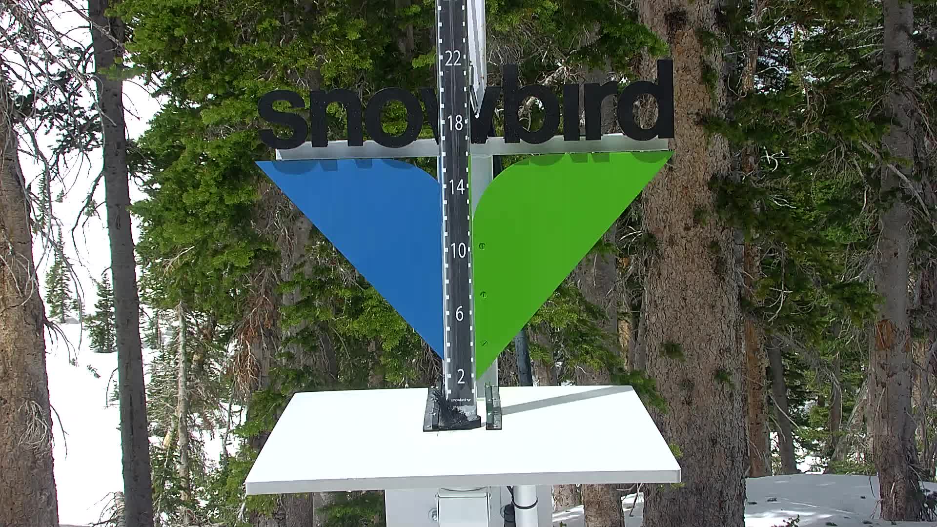 Snowbird snow stake cam