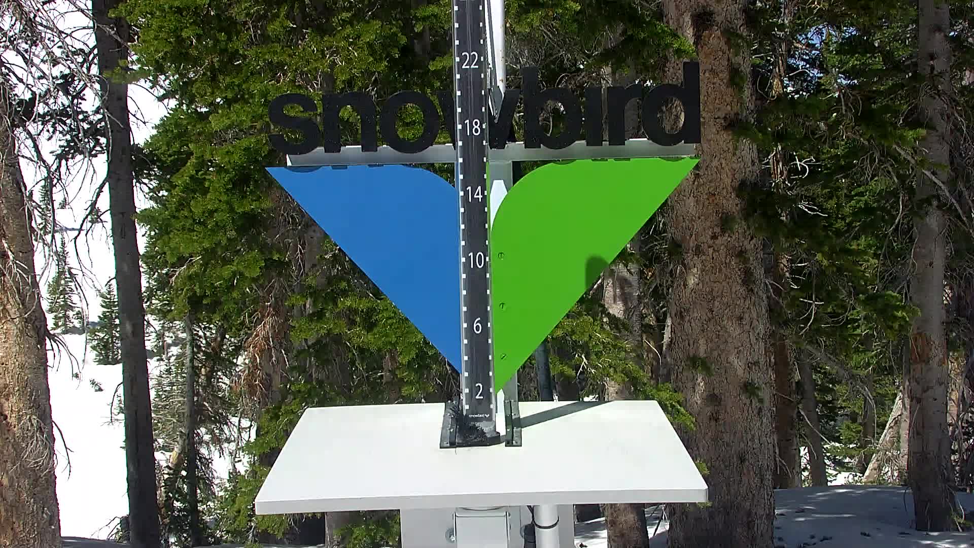 Snowbird snow stake cam