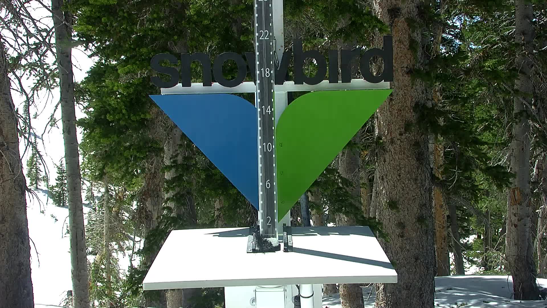 Snowbird snow stake cam