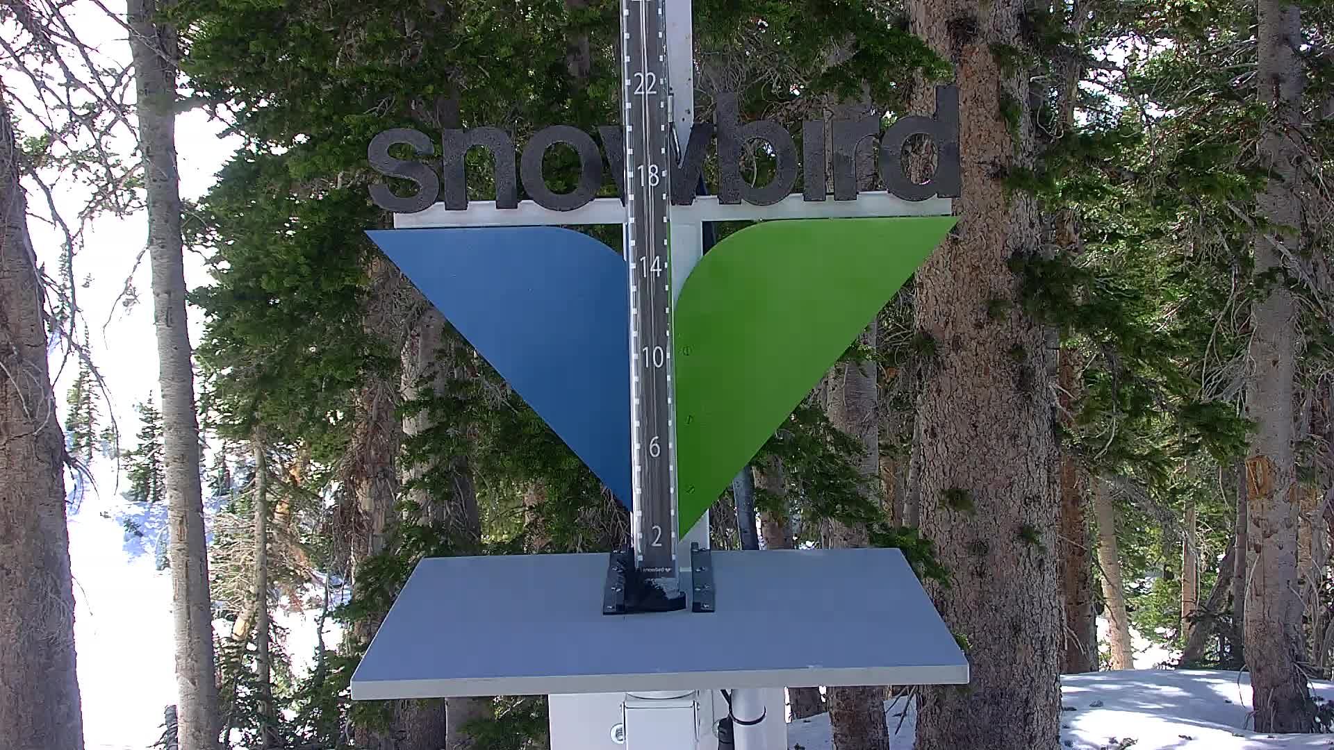 Snowbird snow stake cam