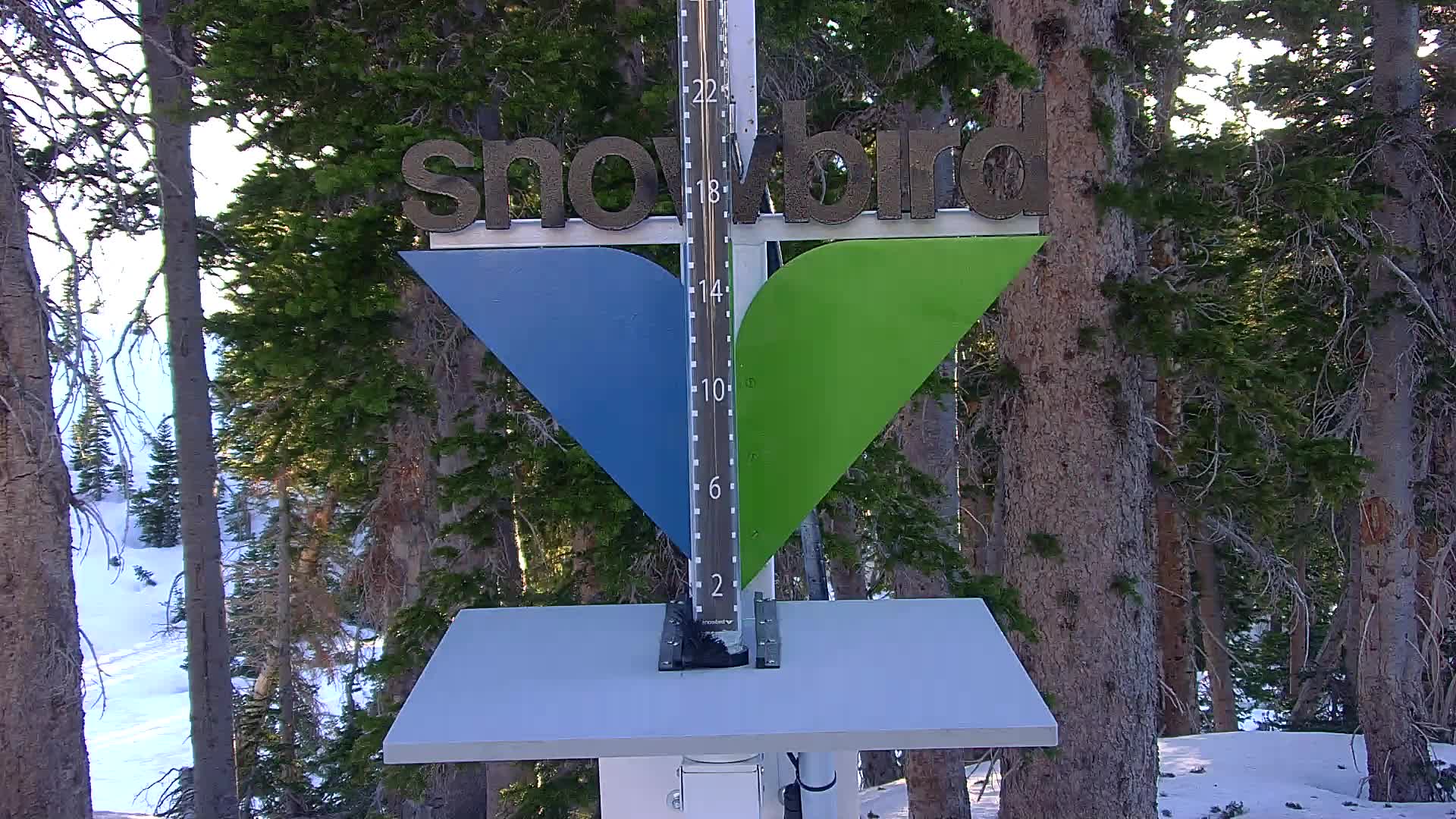 Snowbird snow stake cam