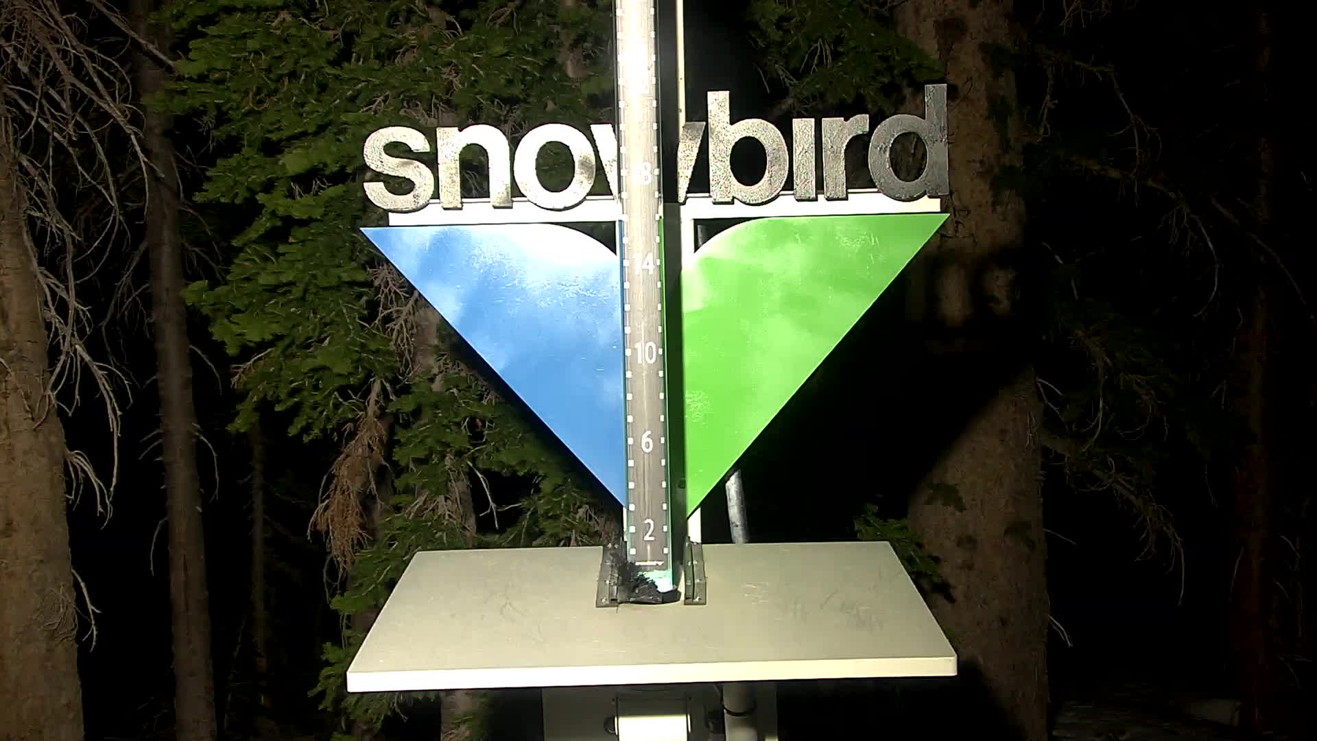 Snowbird snow stake cam
