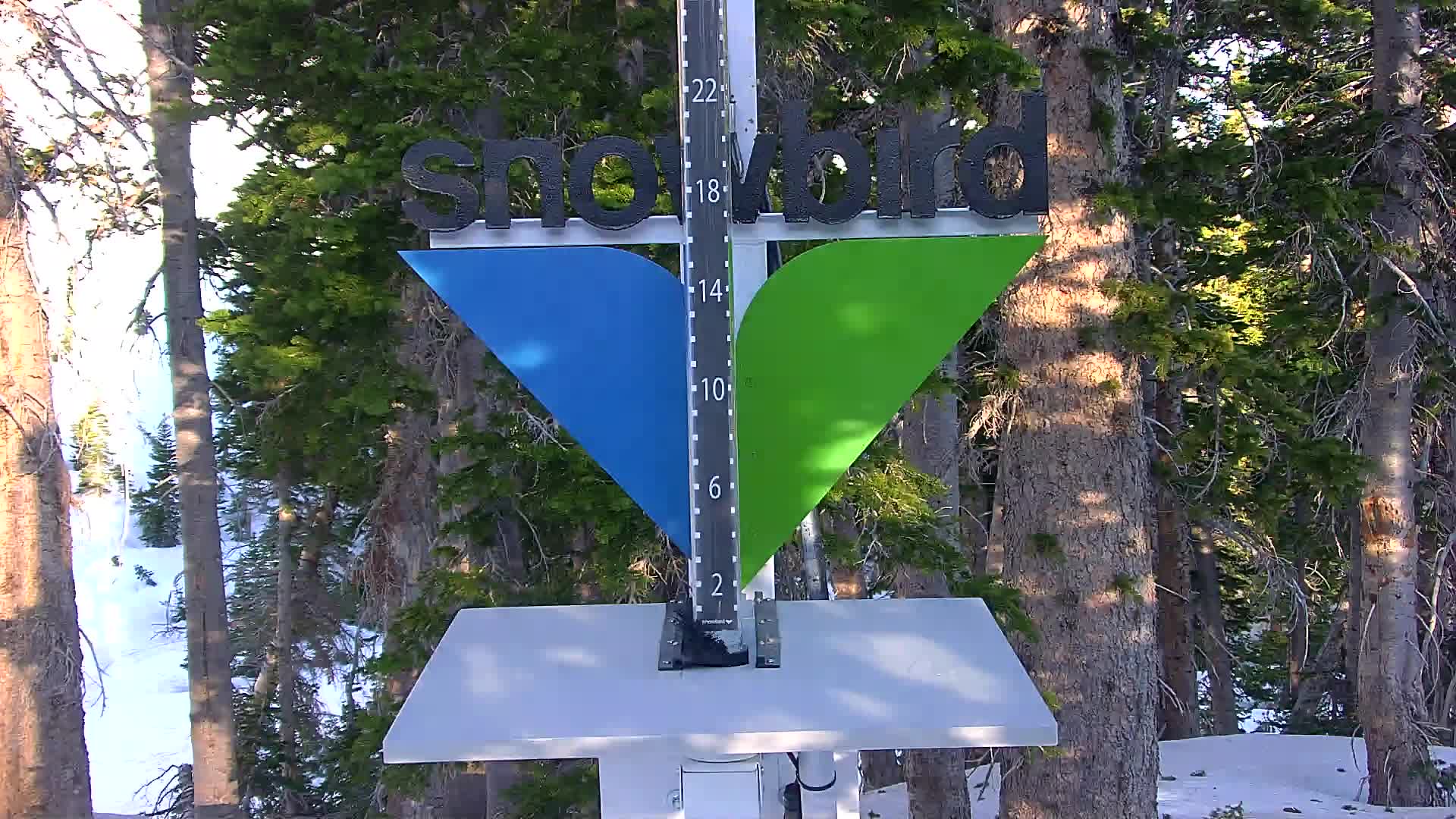 Snowbird snow stake cam